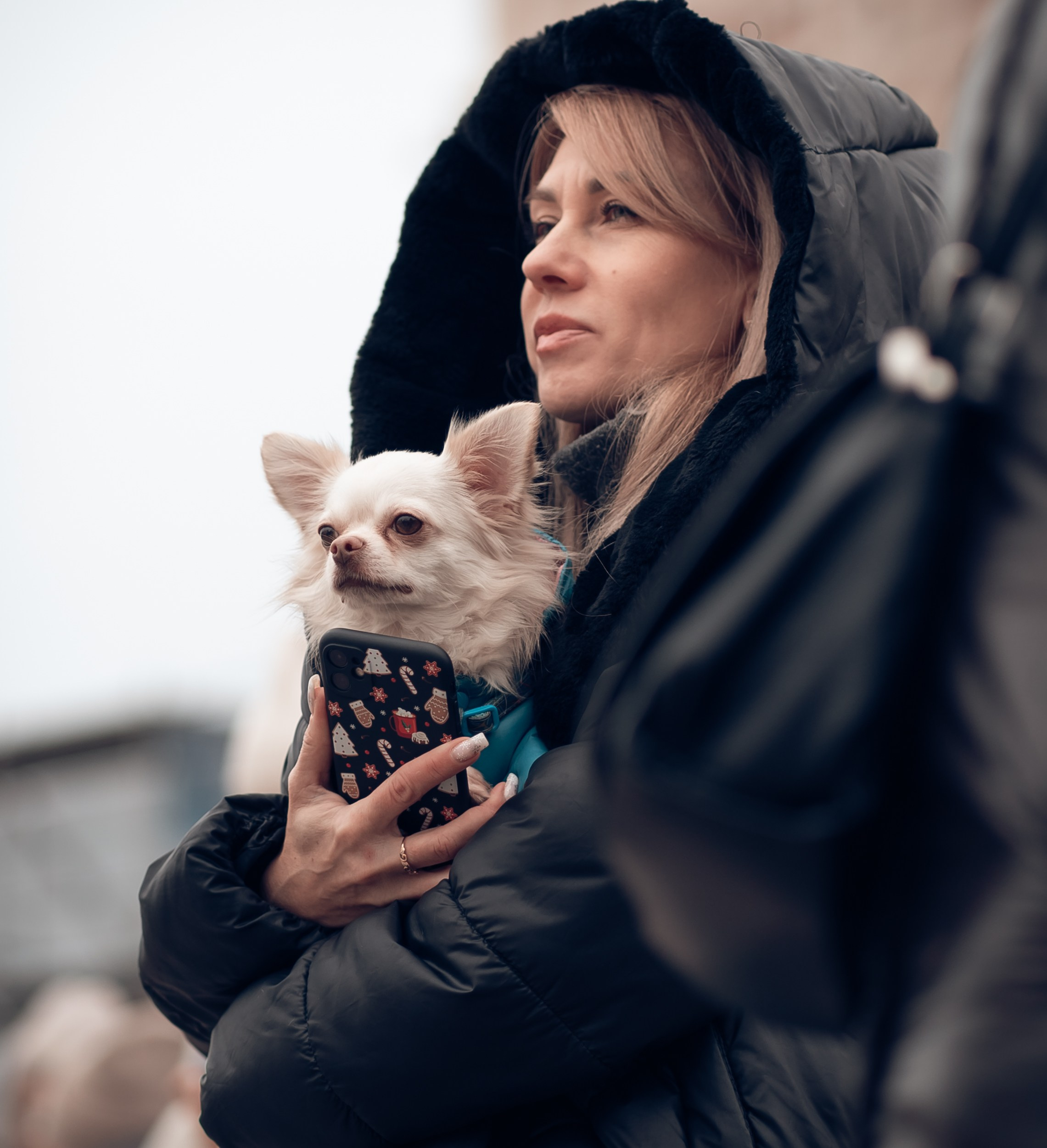 Благотворительная выставка собак в Новом Херсонесе г. Севастополь. Церковный фотограф Севастополь