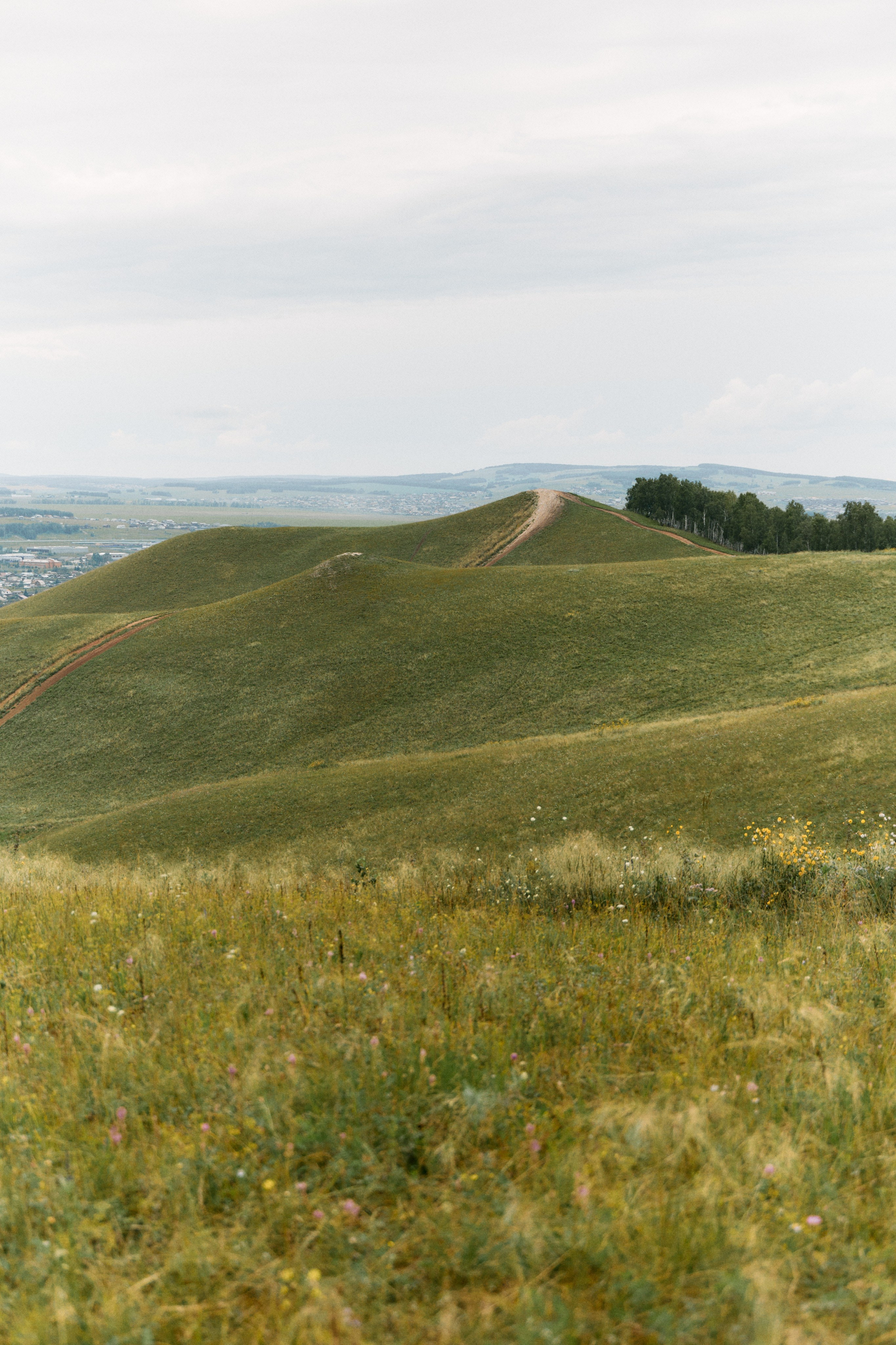 Посмотреть серию. Свадебный и семейный фотограф в Красноярске Тряпчев Павел