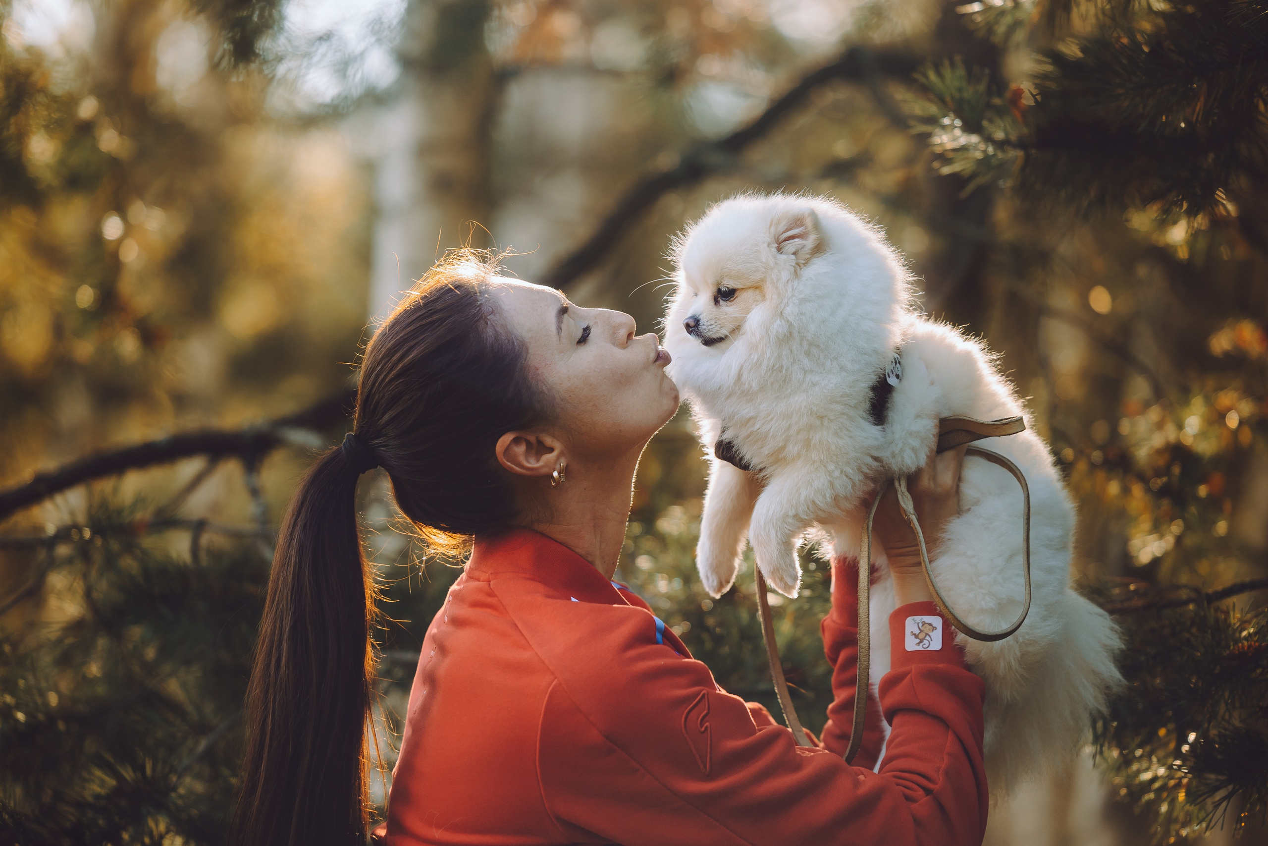 Выездной дог-тренинг от школы «Шерсть имею», Тованово