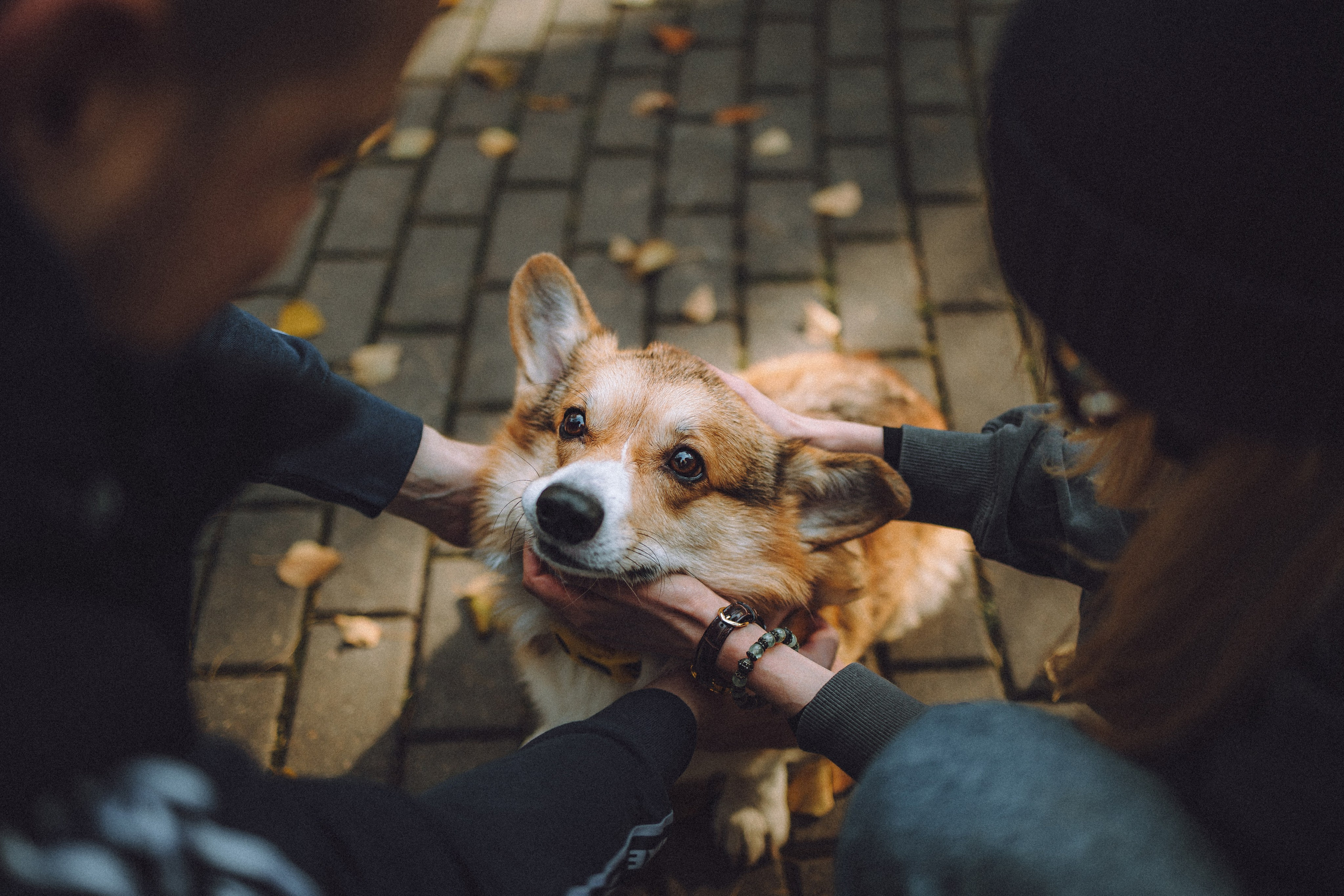 Карина, Даня и Аркаша