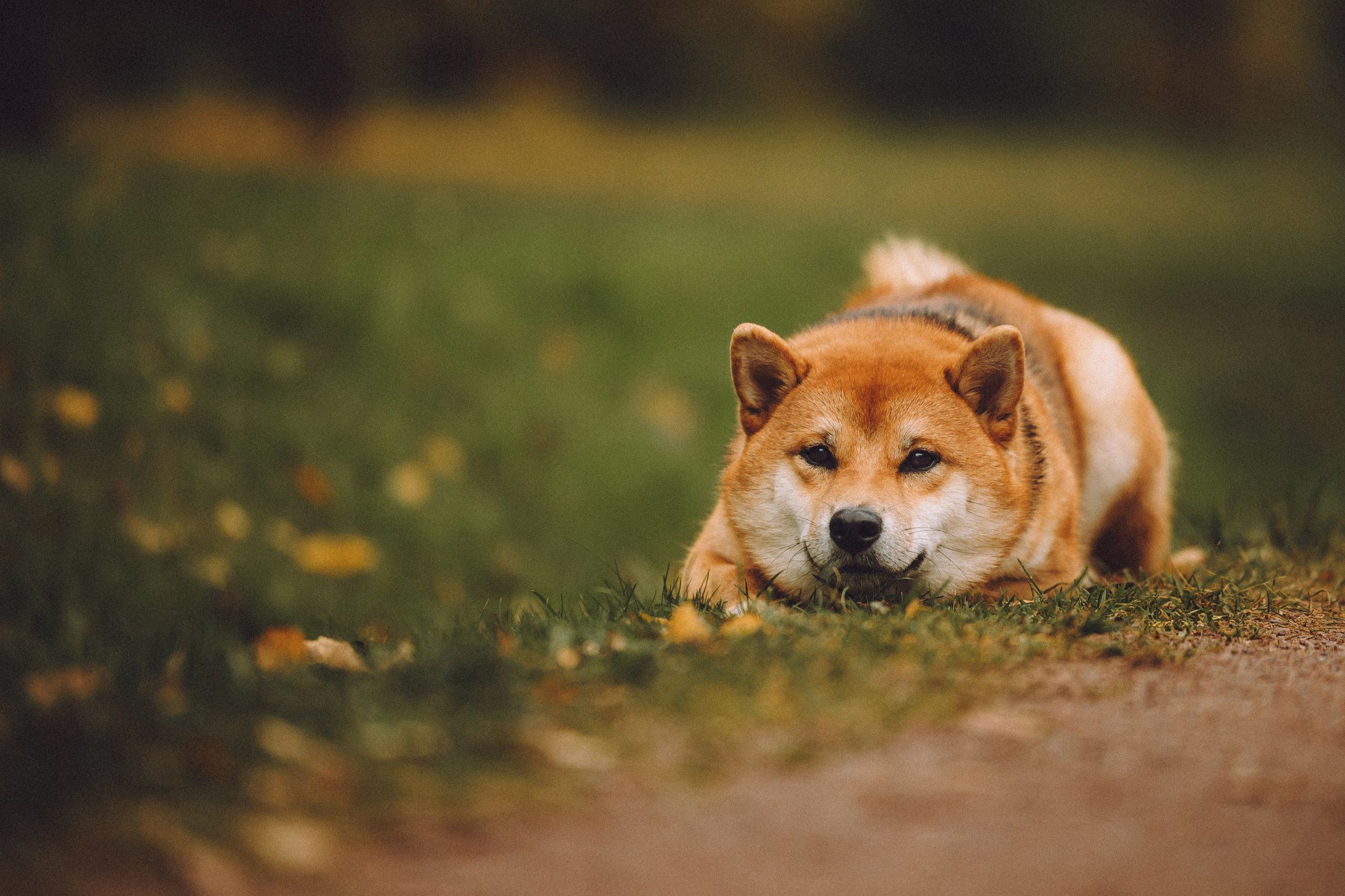 Настя, Юра и Скай