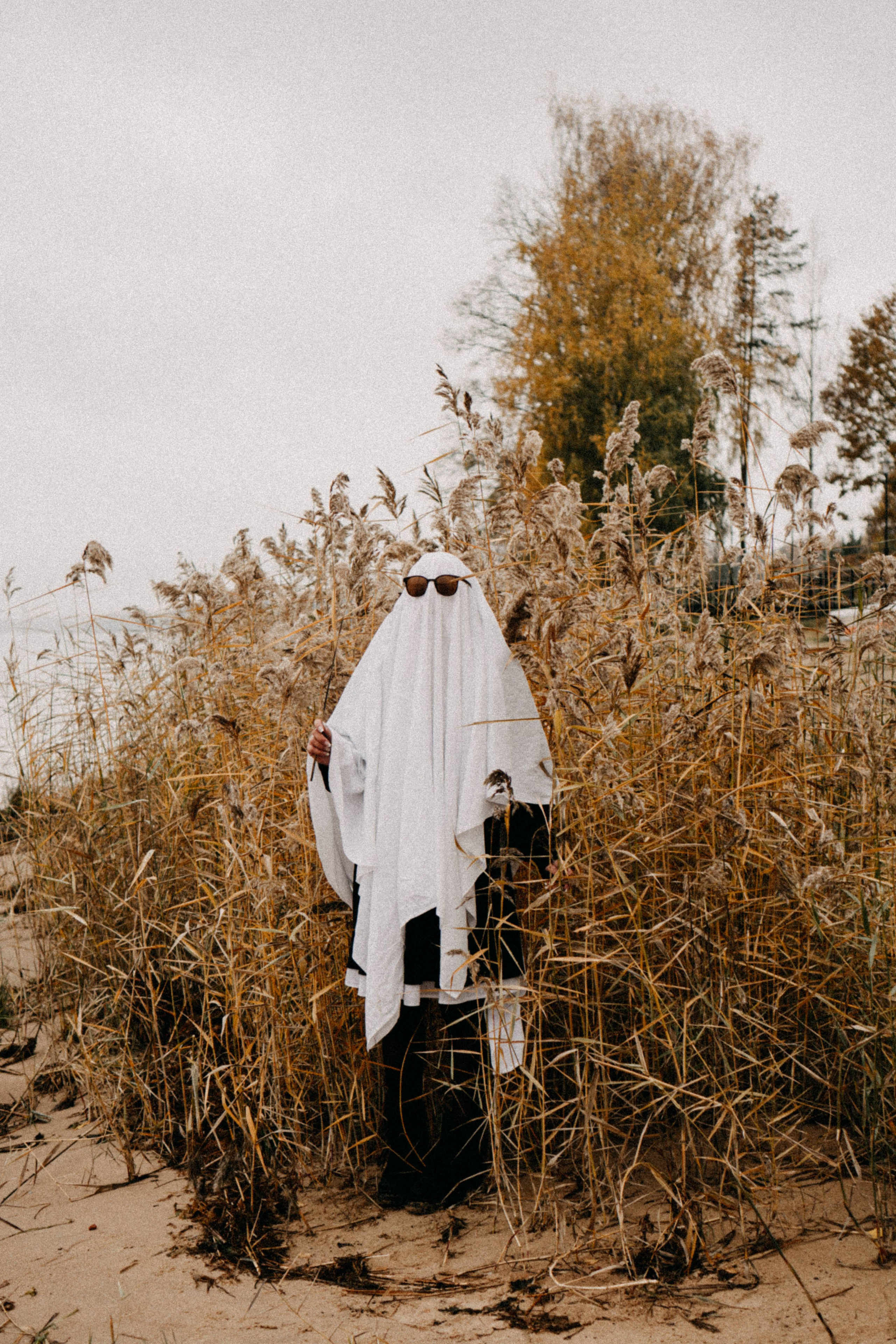 Осеняя. Профессиональный фотограф, Санкт-Петербург — Виктория Богомолова