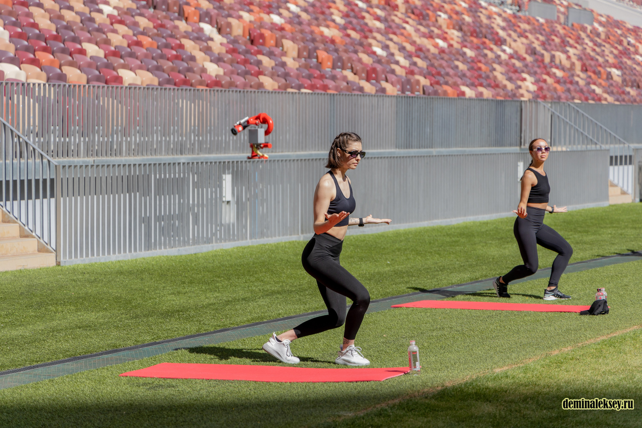 День Московского спорта в Лужниках 2024. Репортажный, семейный и студийный фотограф в Москве Демин Алексей