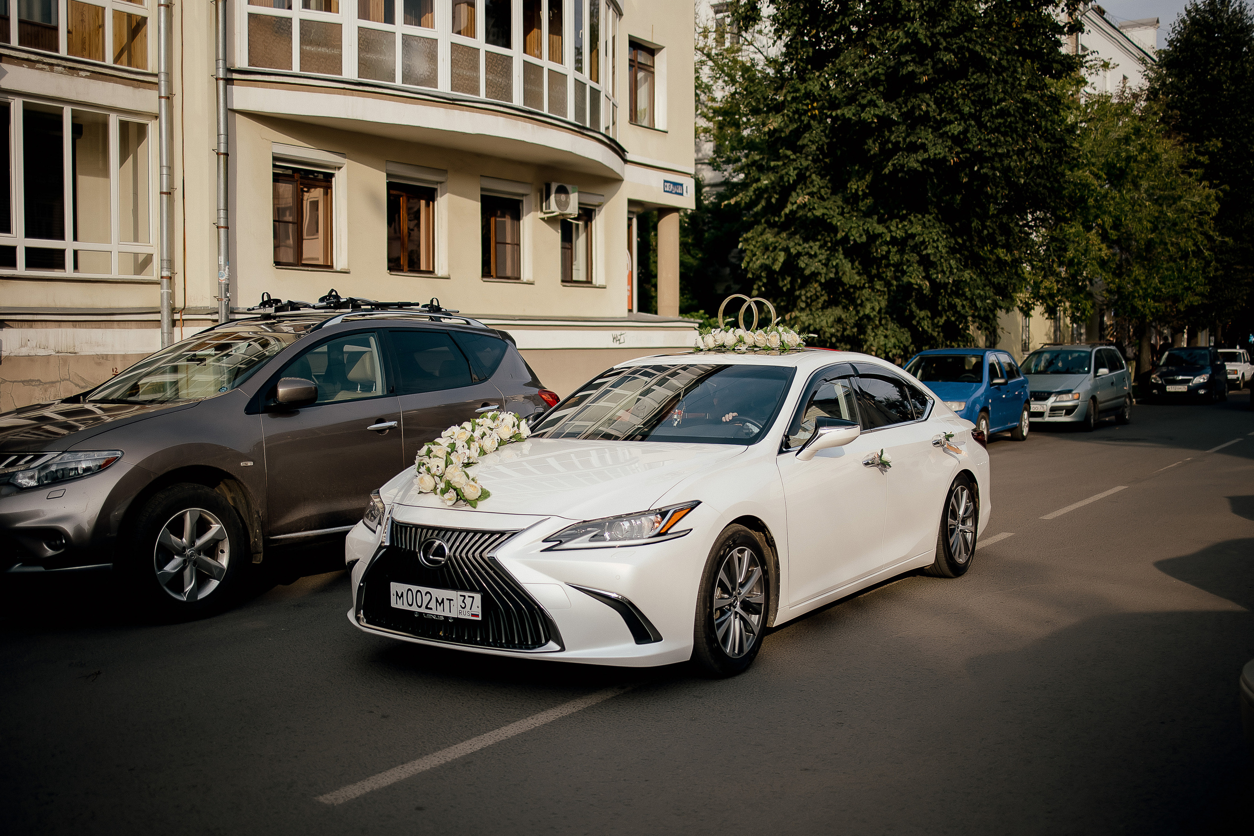 Максим и Елена. Свадебный фотограф