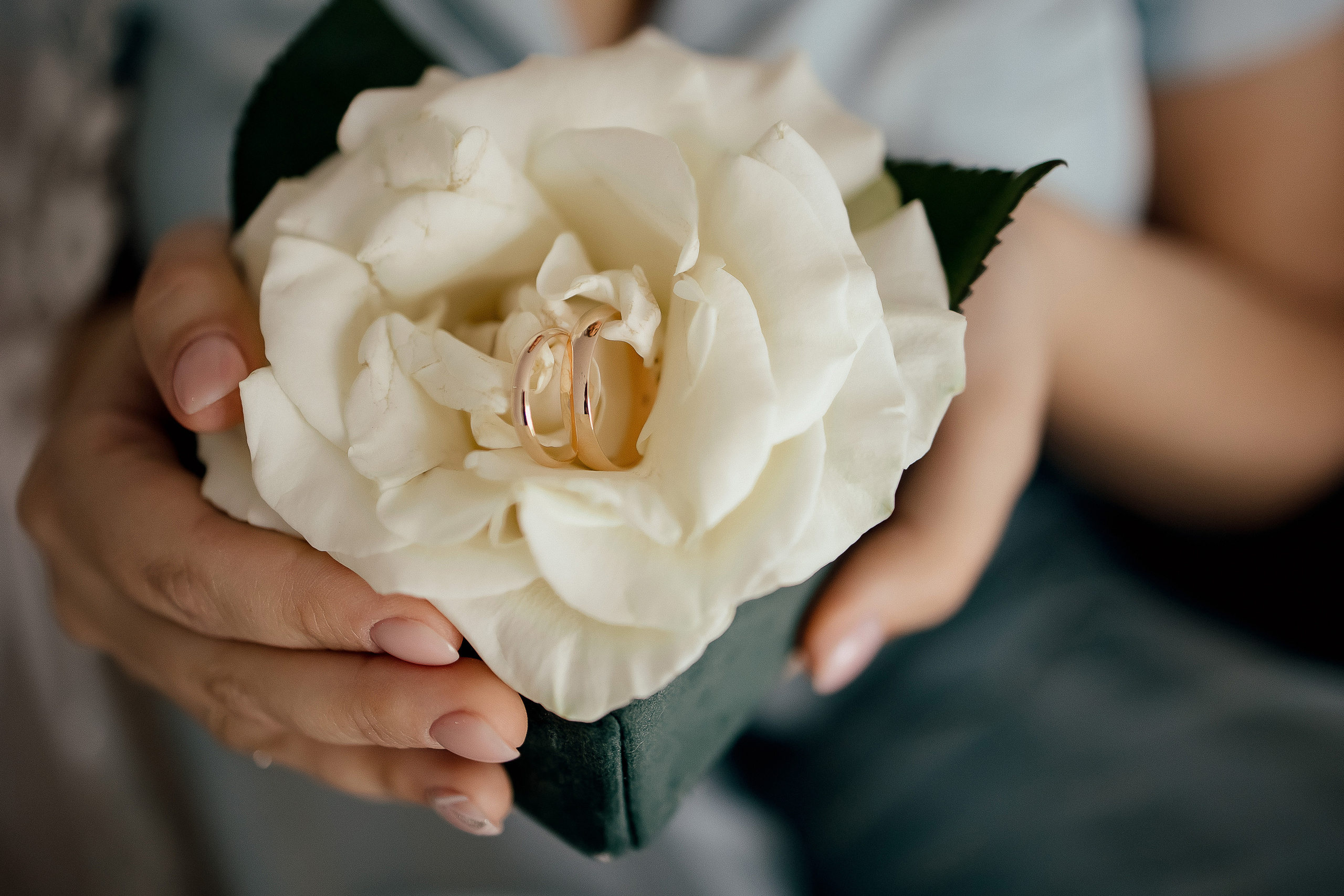 Максим и Елена. Свадебный фотограф