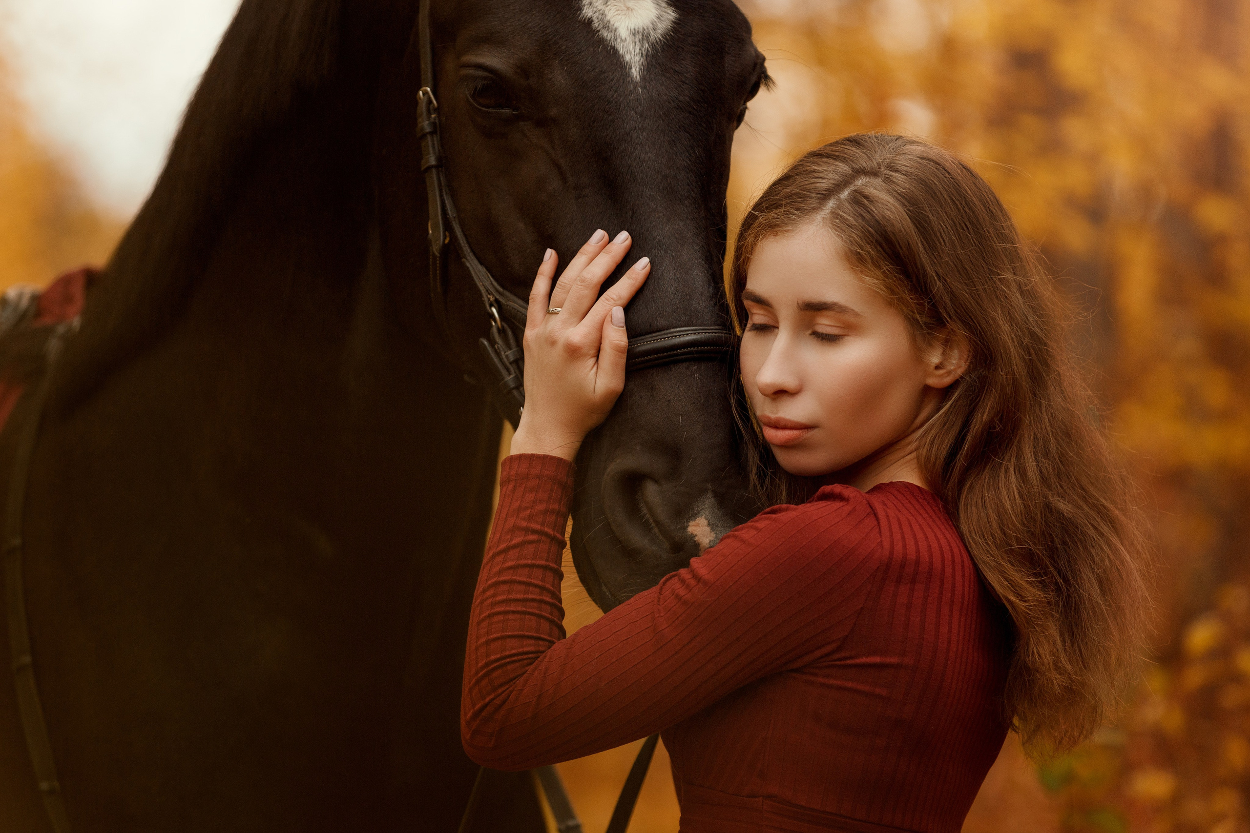 Фотосессии с лошадьми. Фотограф Артемьева Катерина|фотосессии с лошадьми