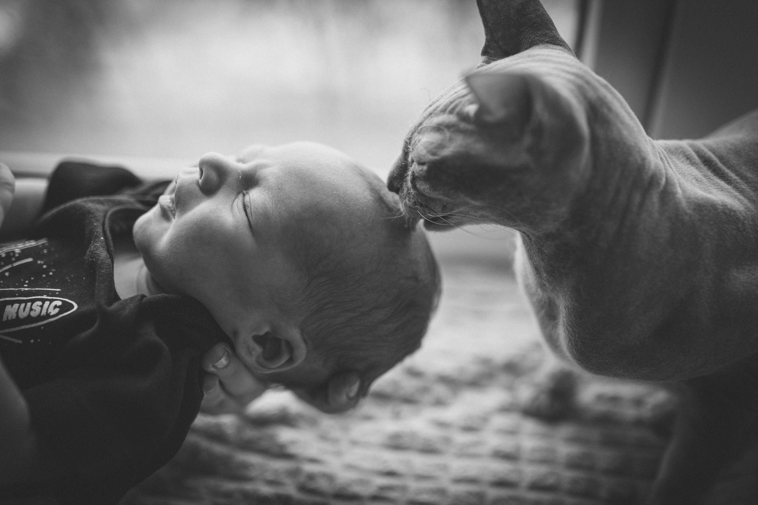 Света, Женя, Кирилл и Мышка. Семейный фотограф и фотограф на роды в Ростове-на-Дону Мухина Виктория