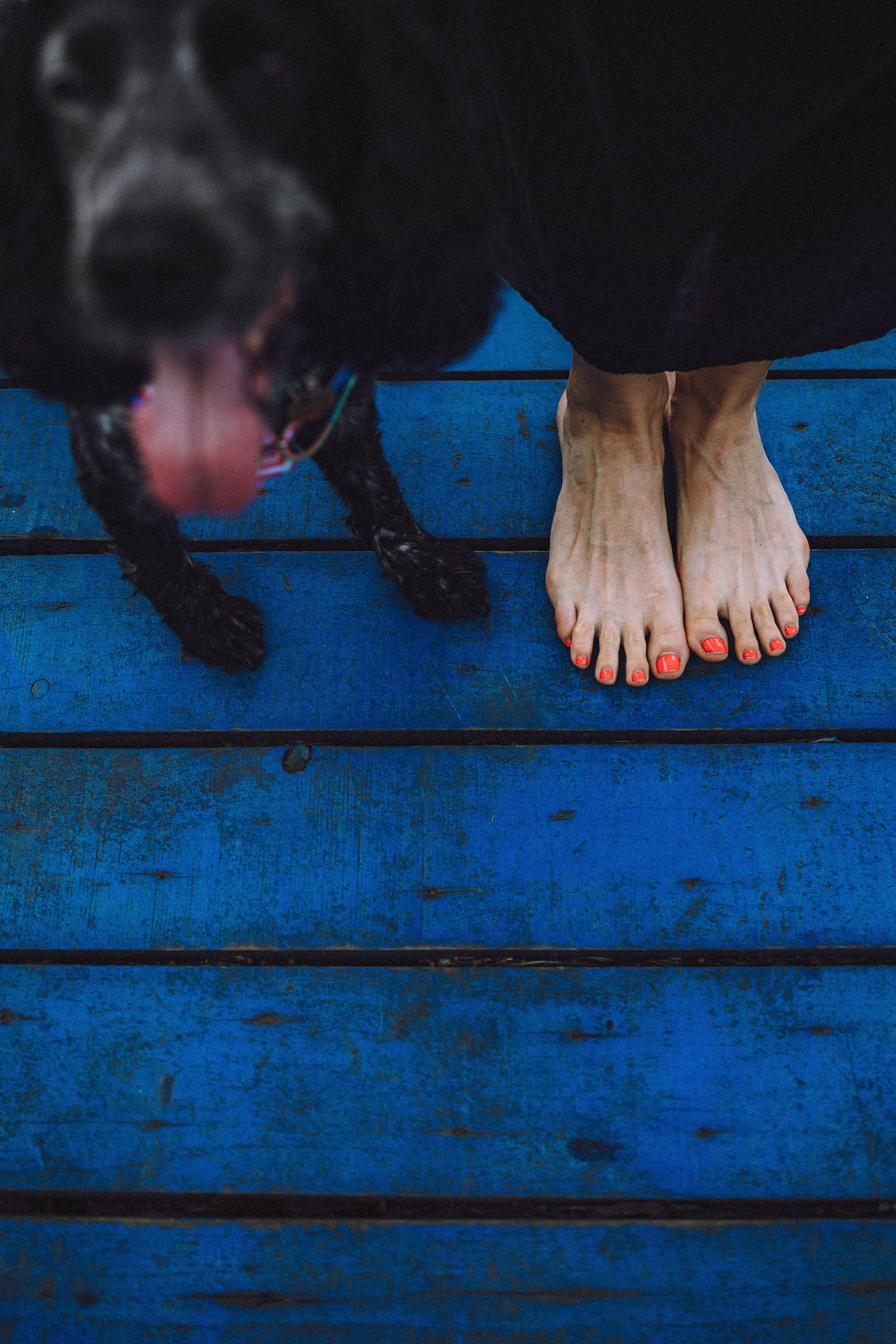 Маша и Ларри