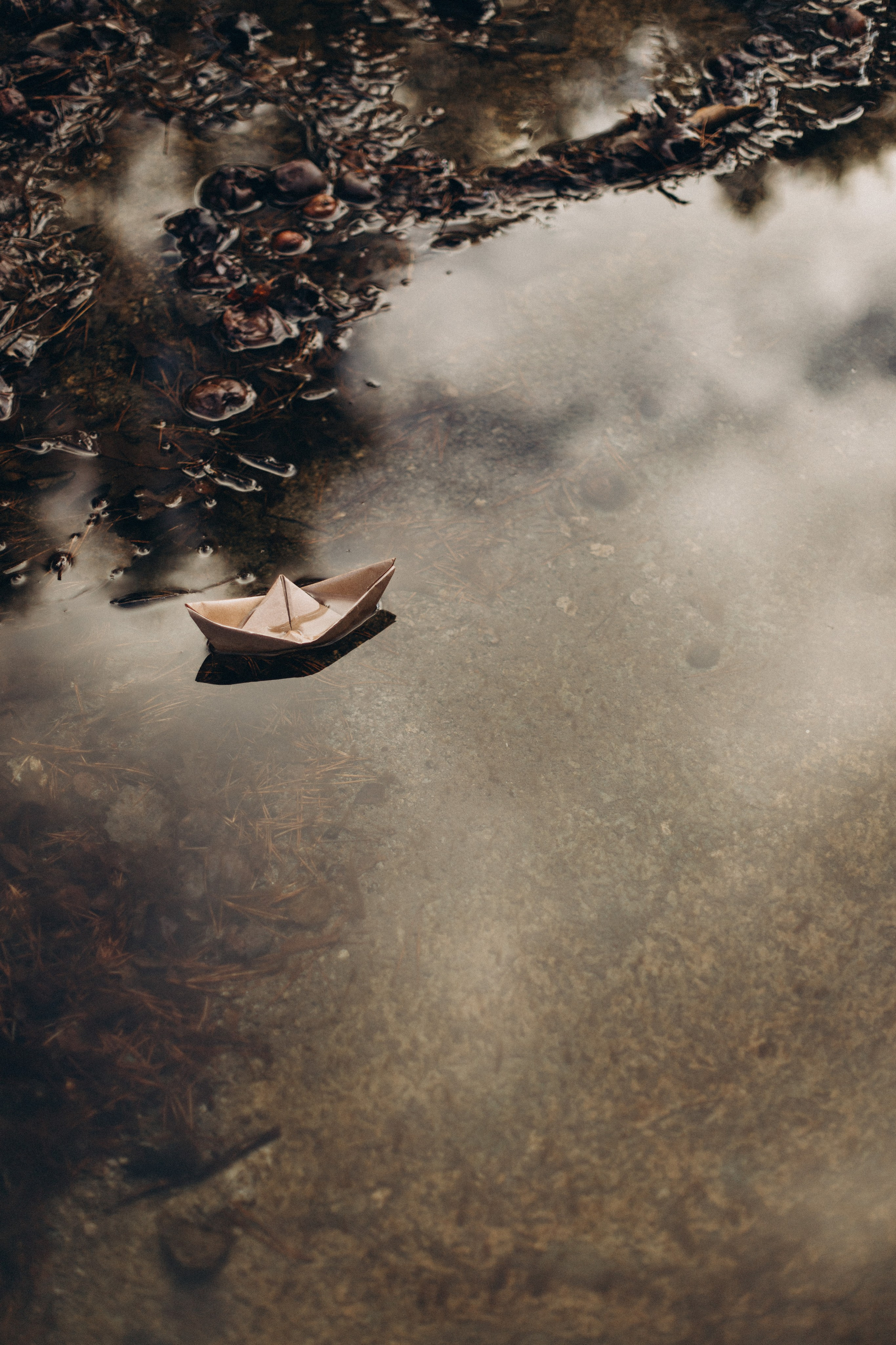 Весна. Репортажный и детский фотограф в Минске