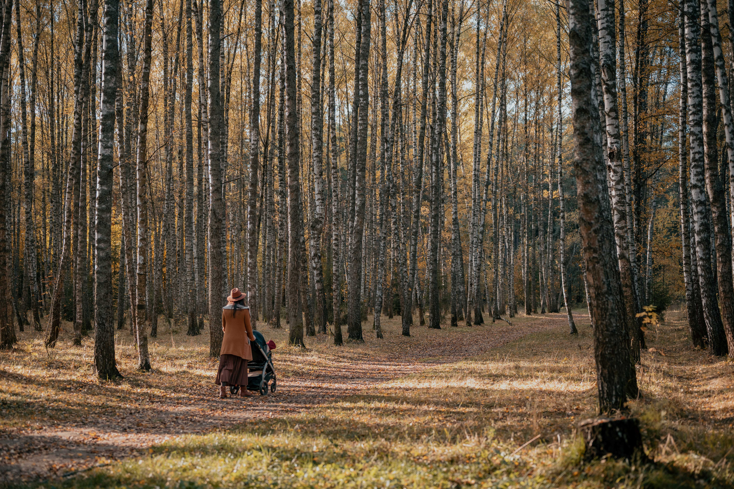 Осенняя фотосессия с ребенком. Фотограф в Белграде Чугреева Елена