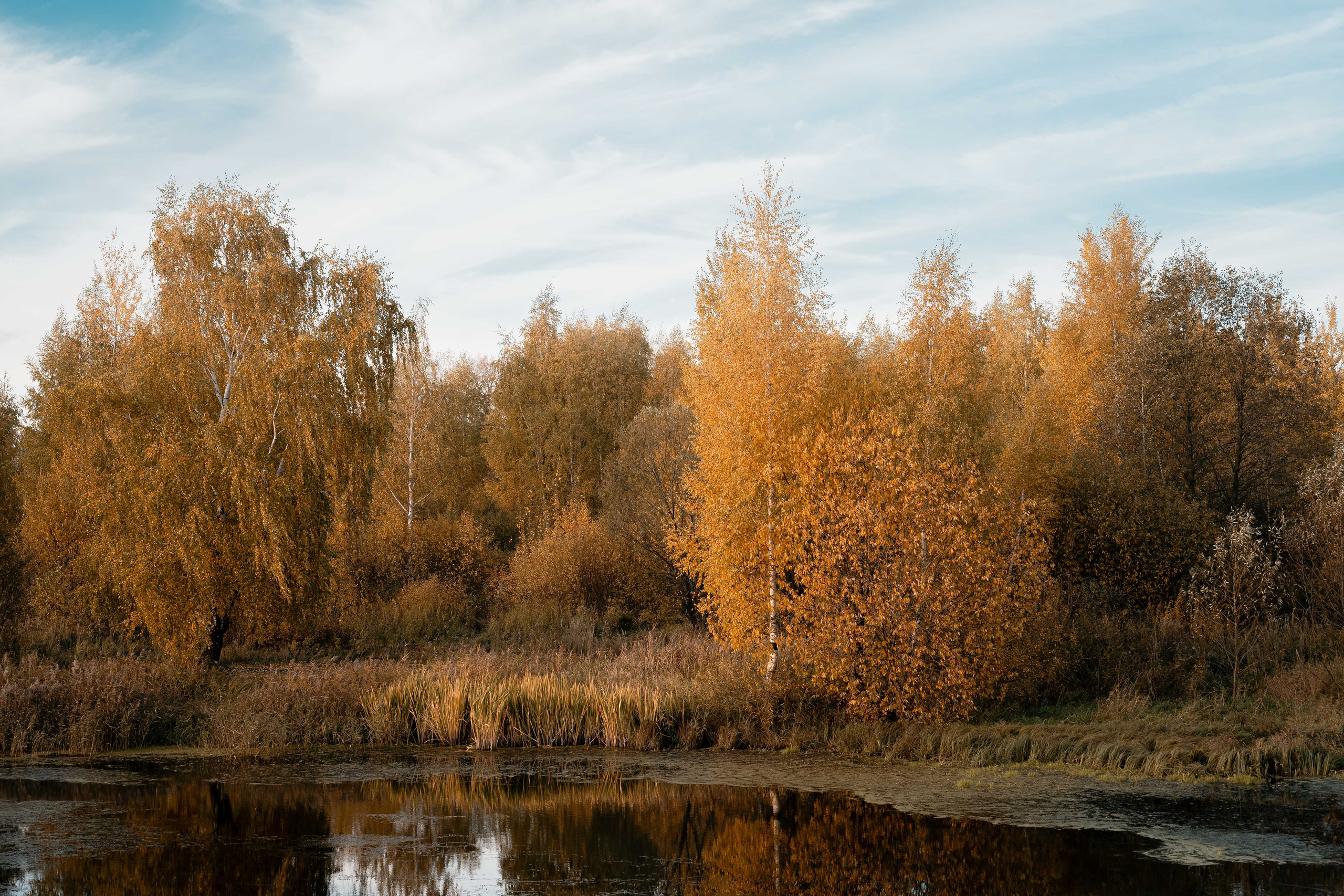 Осенняя фотосессия с ребенком. Фотограф в Белграде Чугреева Елена