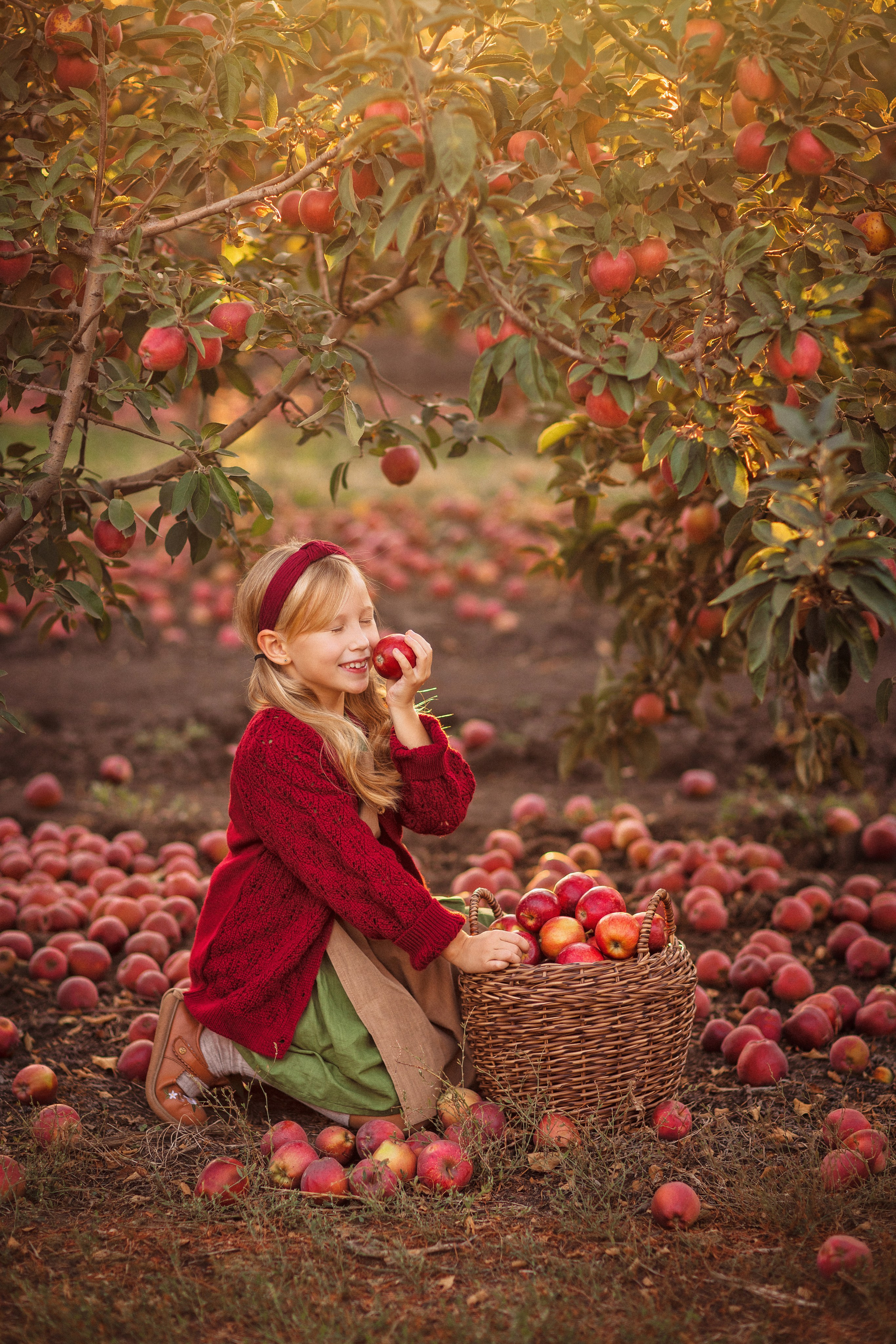 Сбор урожая Яблок. Семейный и детский фотограф в Краснодаре Анна Трашкова