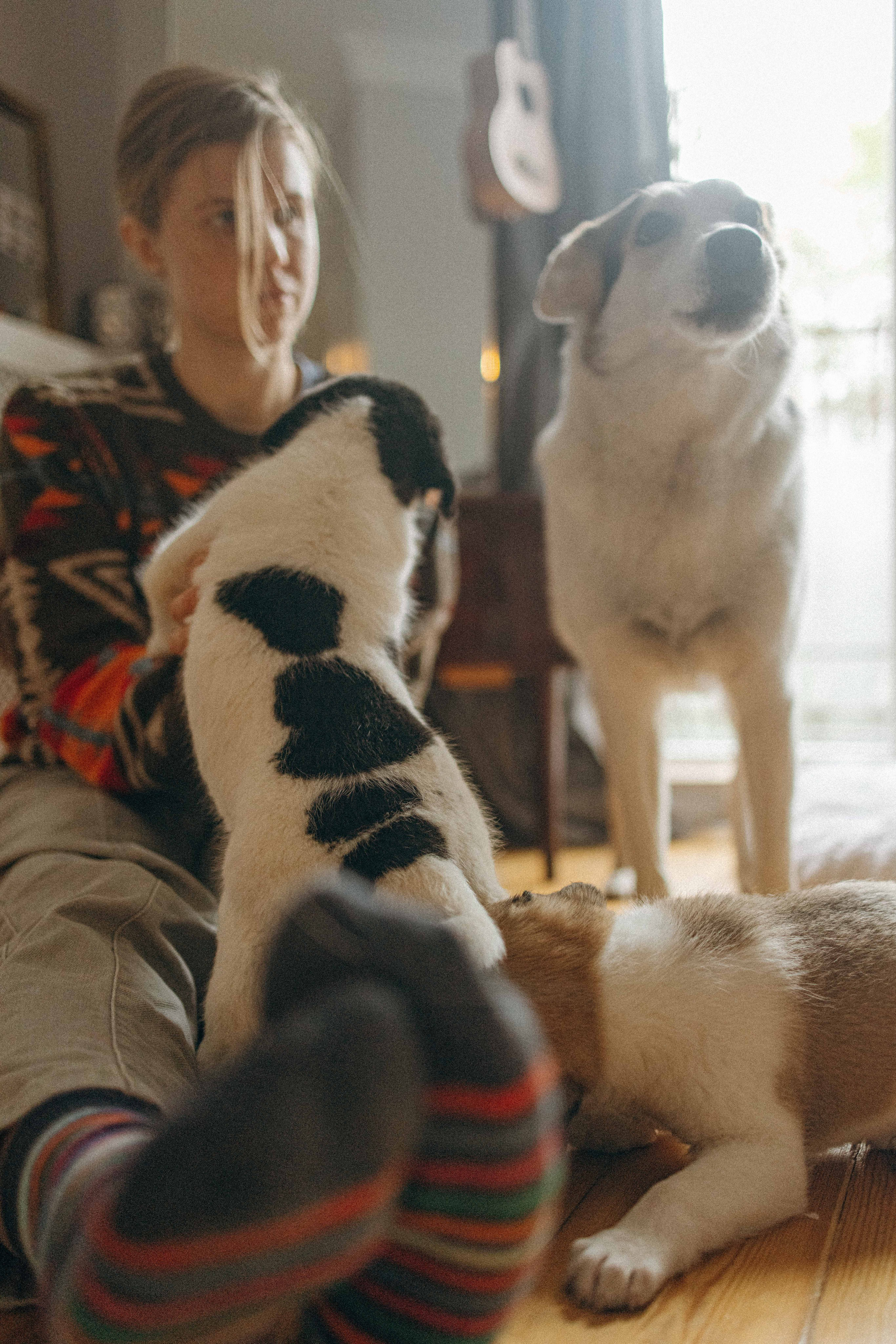 Щеночки. Фотограф-анималист в Москве Лера Черноног