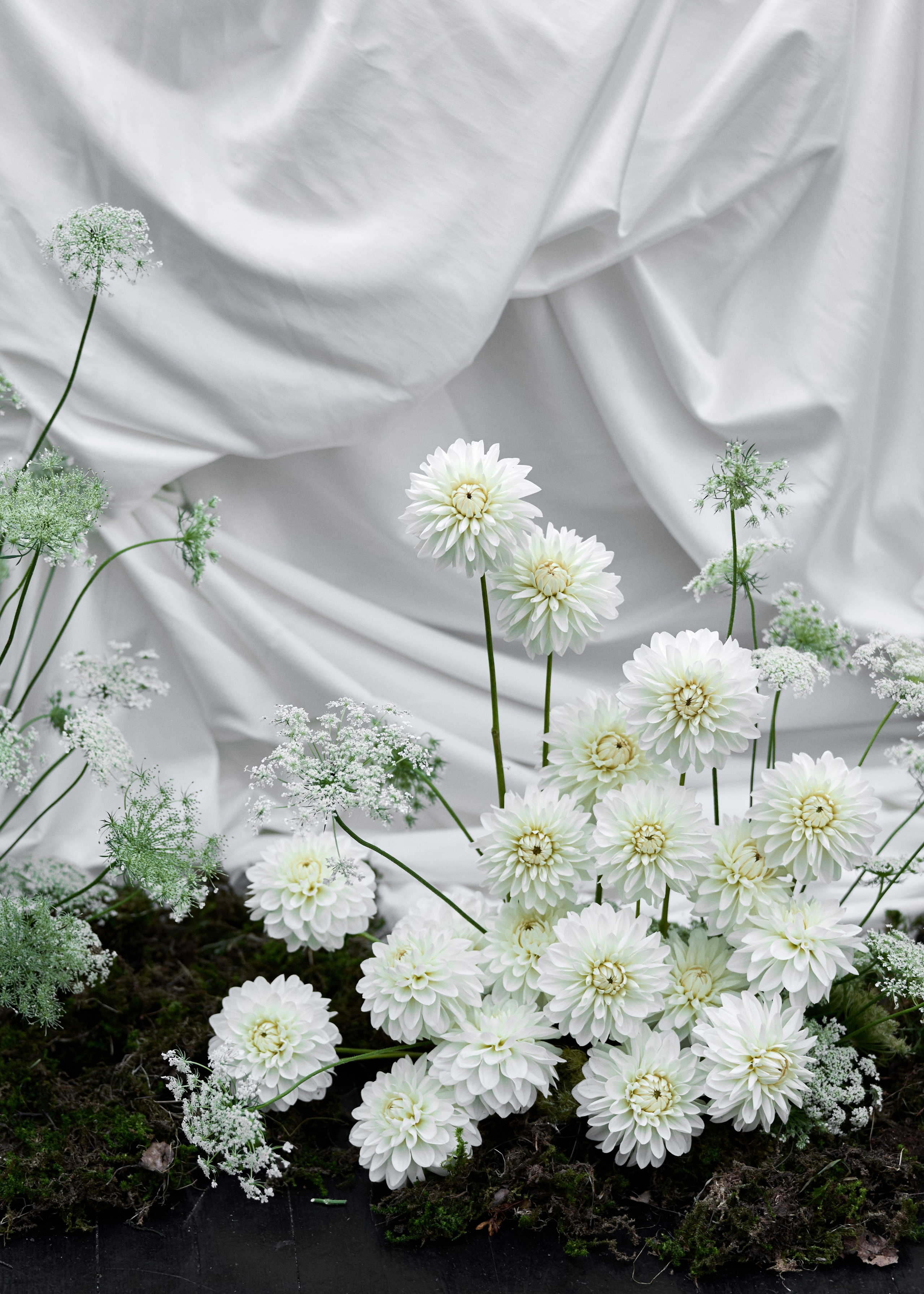 Максим & Елена. Оформление свадеб, декор свадеб Вера Маркова, Москва