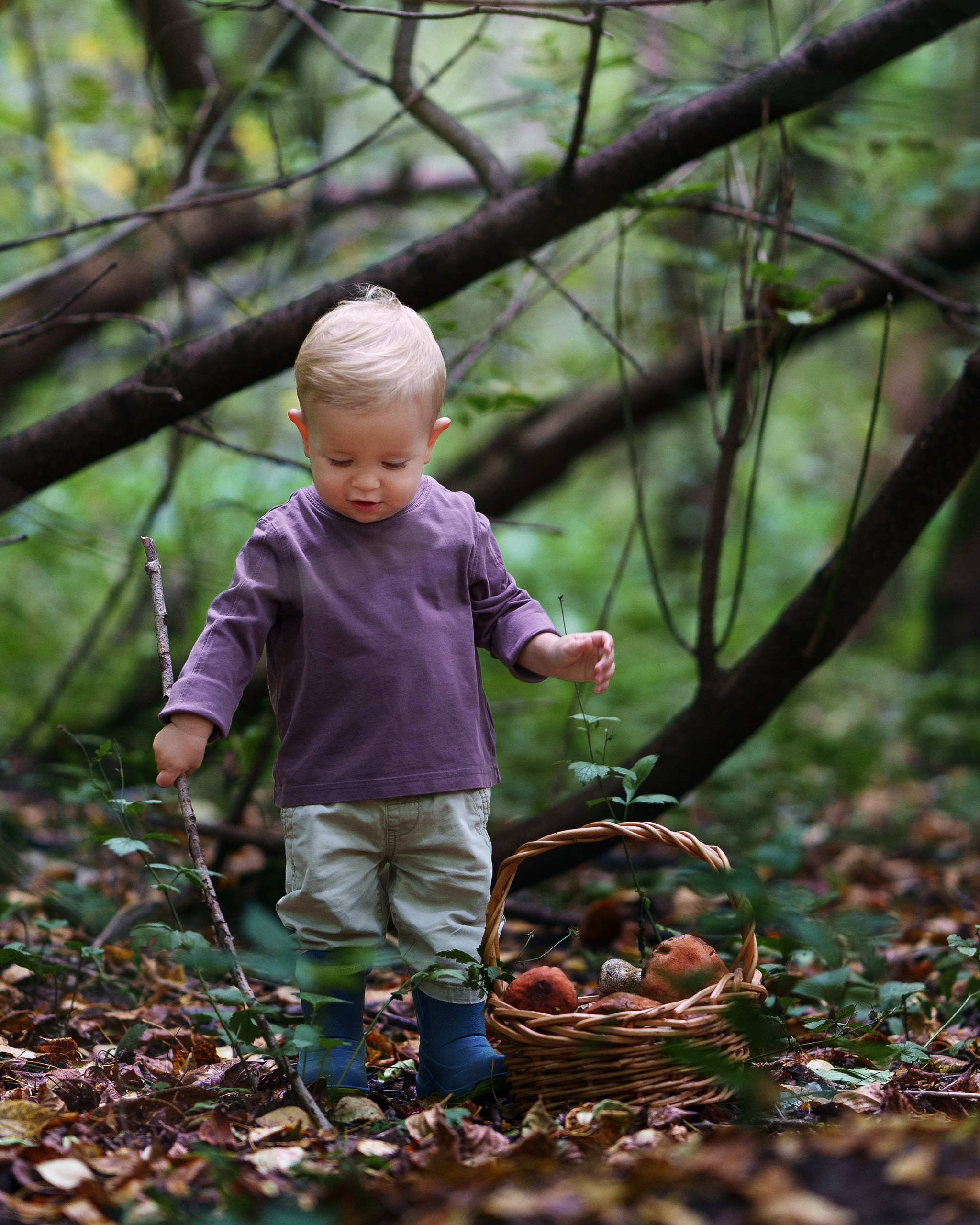 Фотосессия — маленький грибник. Фотограф в Москве — Евгений Мельников
