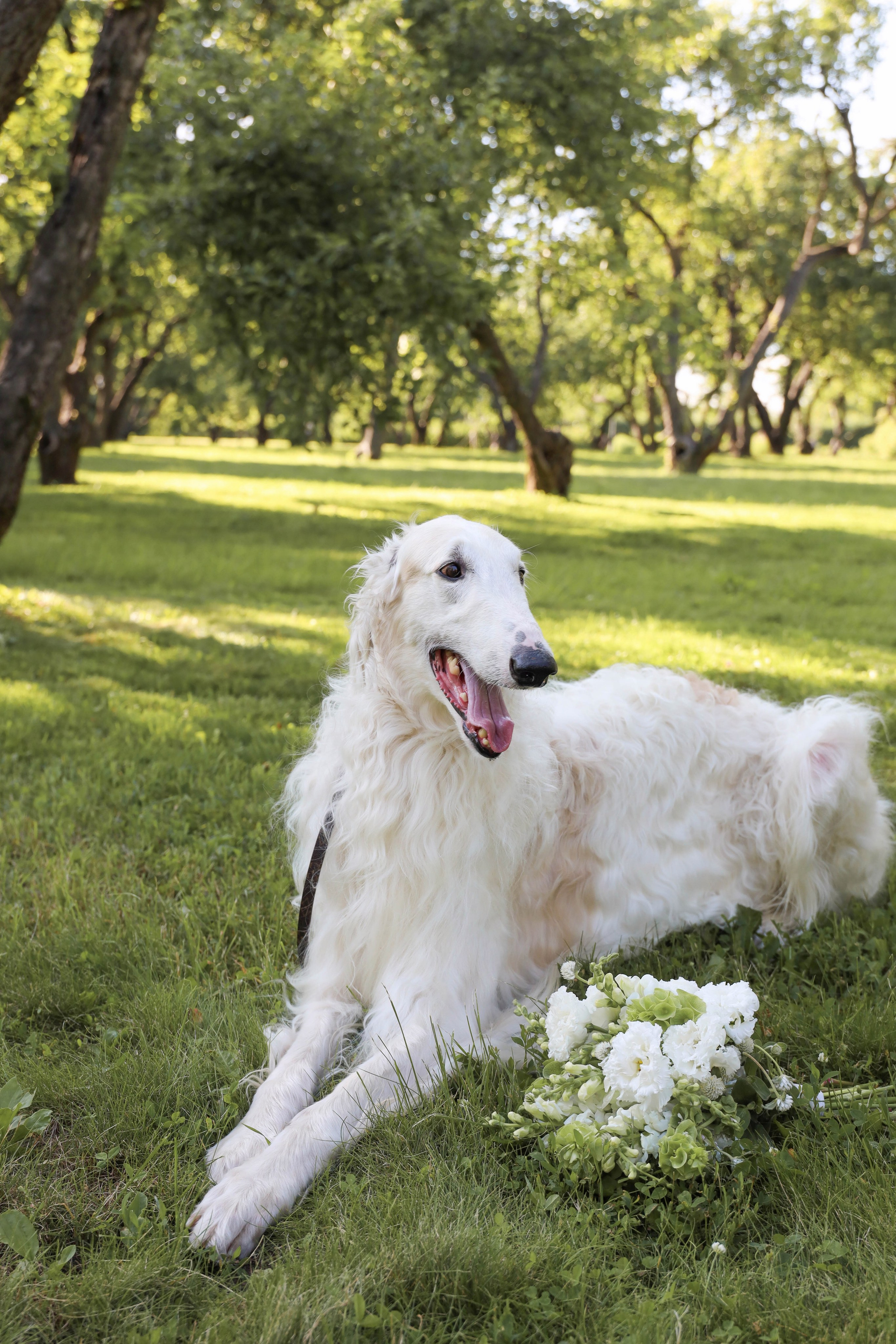 Анастасия&Антон. Свадебный фотограф Москва