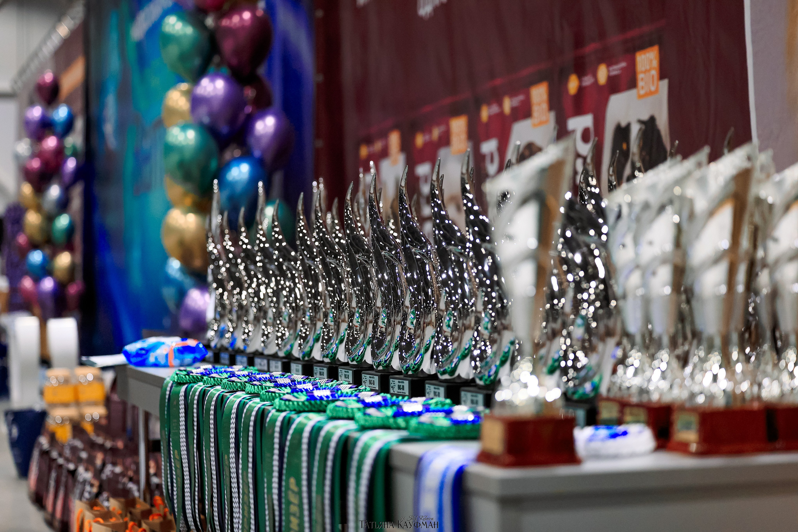 28-29.03.2026 Рейтинговая выставка в Новосибирске. Фотограф Анималист из Новосибирска Татьяна Кауфман