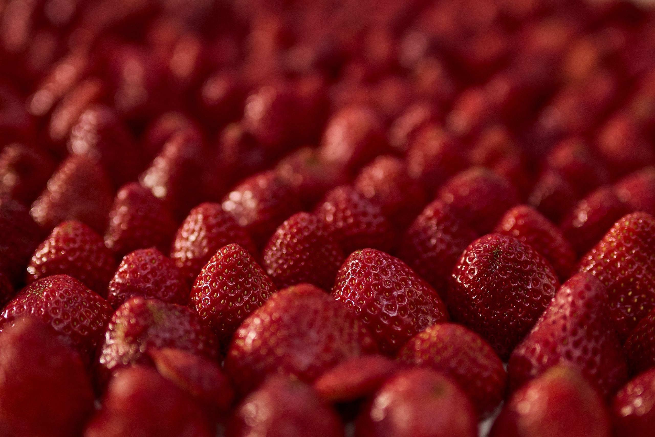 Crystal Swirl. Студия декора НикитинаДекор — оформление мероприятий в Ульяновске. Профессиональное создание эксклюзивных декораций