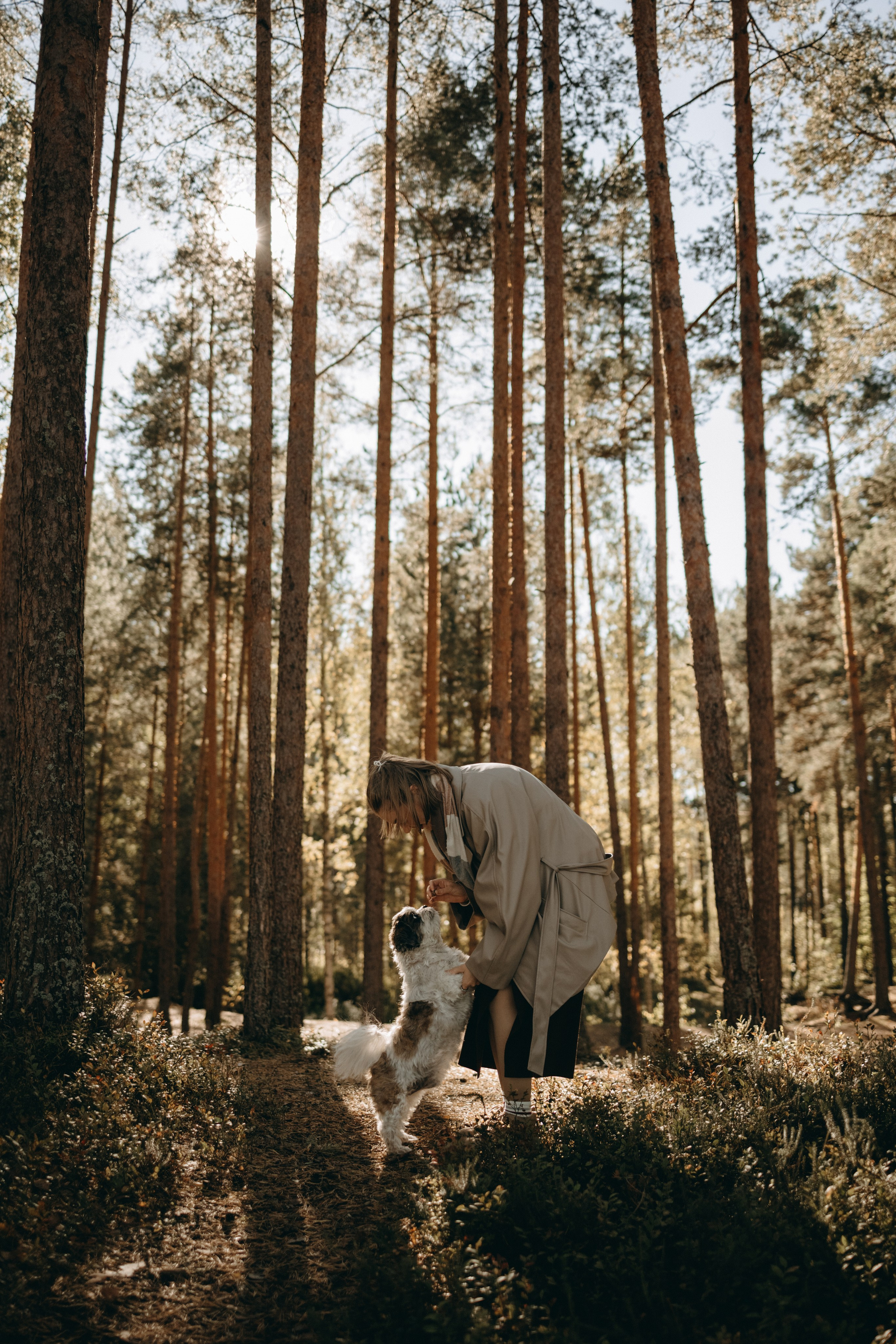 Настя и Франт. Фотограф — Анималист | Санкт-Петербург