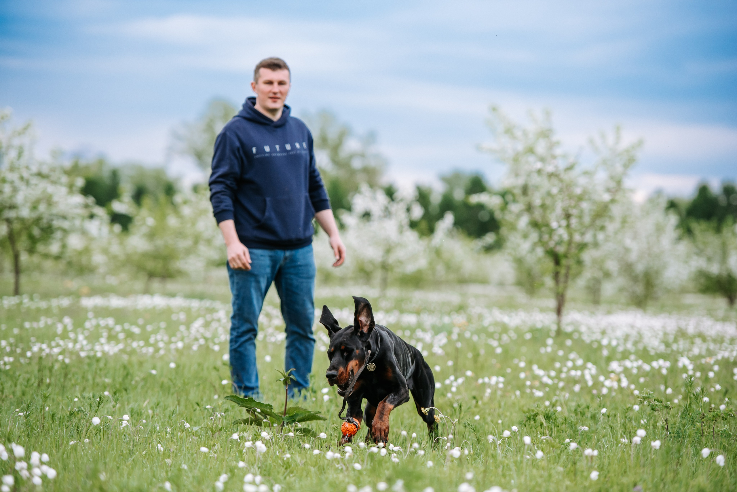 Цветение с доберманами. Фотограф Диана Оленина Красноярск / Братск