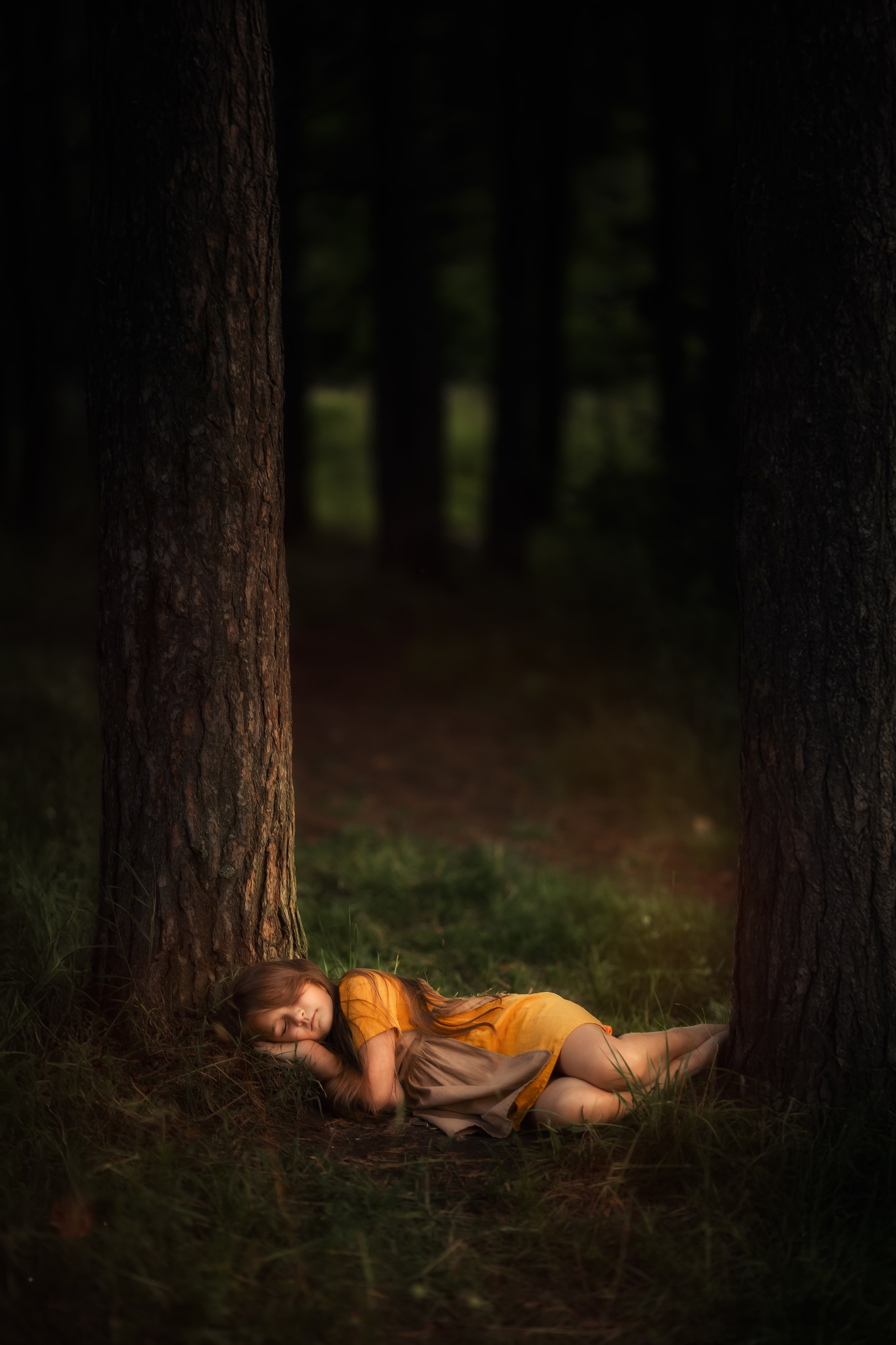 Девочка в жёлтом платье спит у подножия дерева в лесу, между двумя стволами, вокруг темнота и мягкий свет, создающий ощущение тишины и сказки.