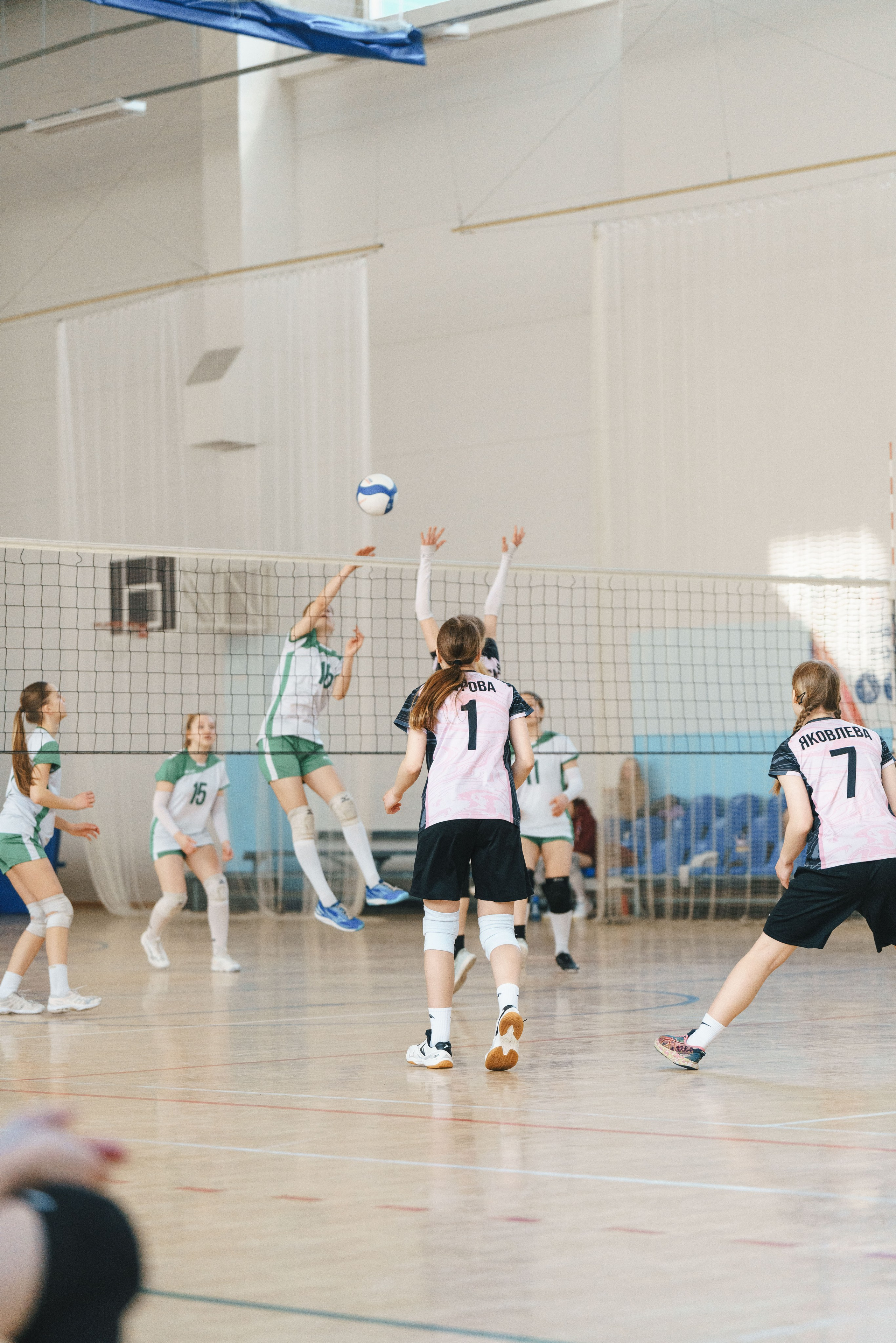 Волейбол торус. Фотограф-анималист в Санкт-Петербурге
