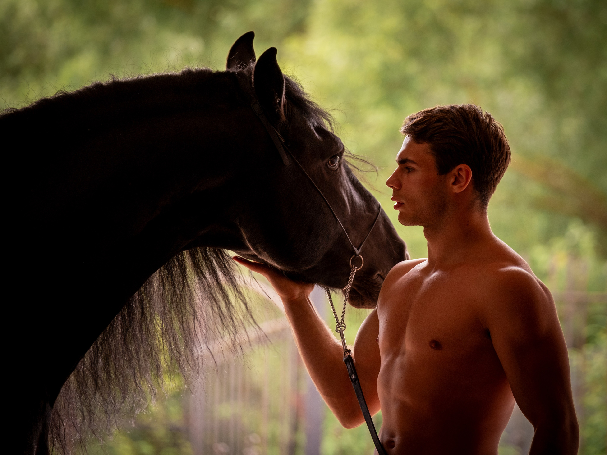 Люди и лошади!. Зоофотограф, фотограф животных в Москве и области Дина Дамоцева