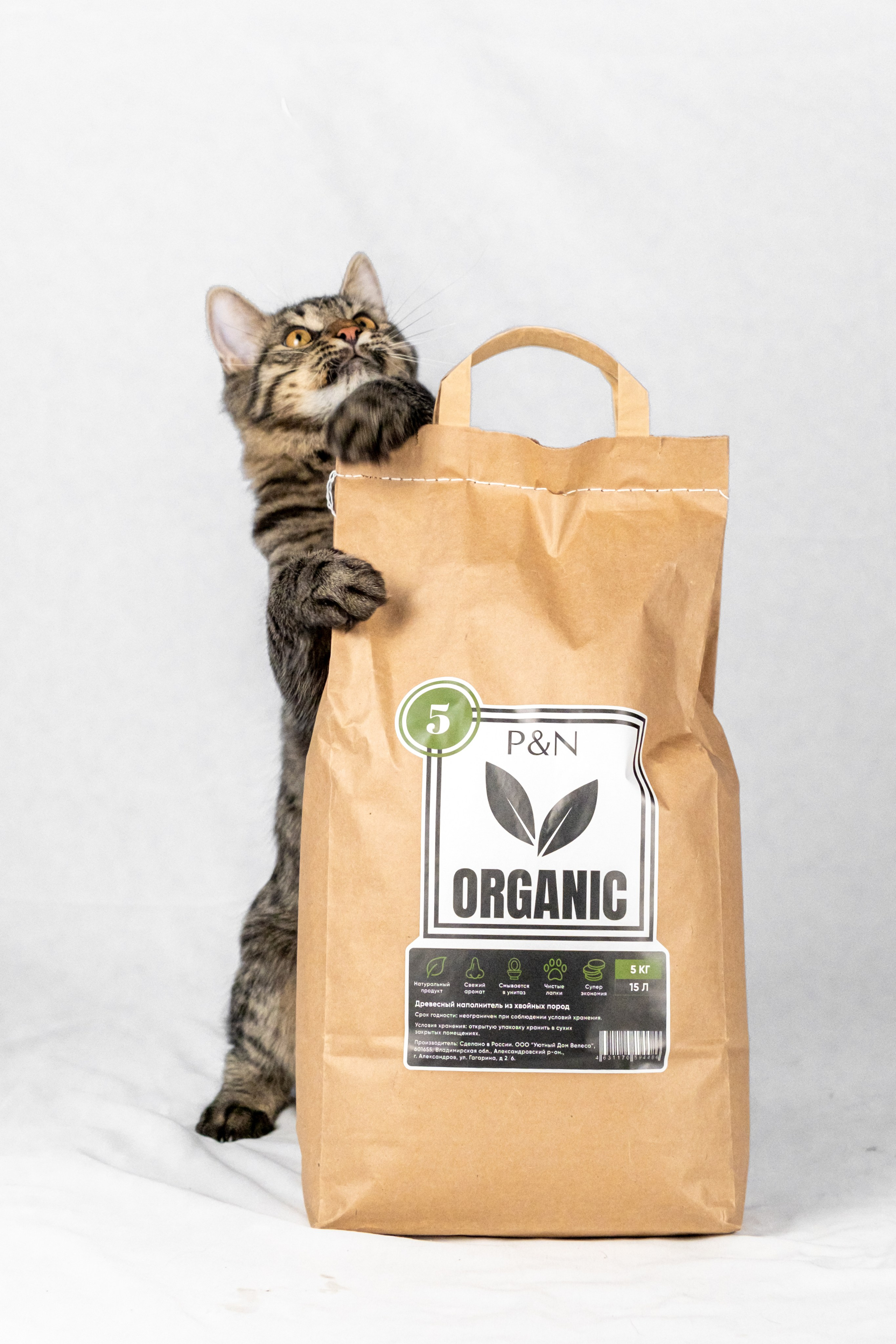Древесный наполнитель для кошек, для Анастасии!. Зоофотограф, фотограф животных в Москве и области Дина Дамоцева
