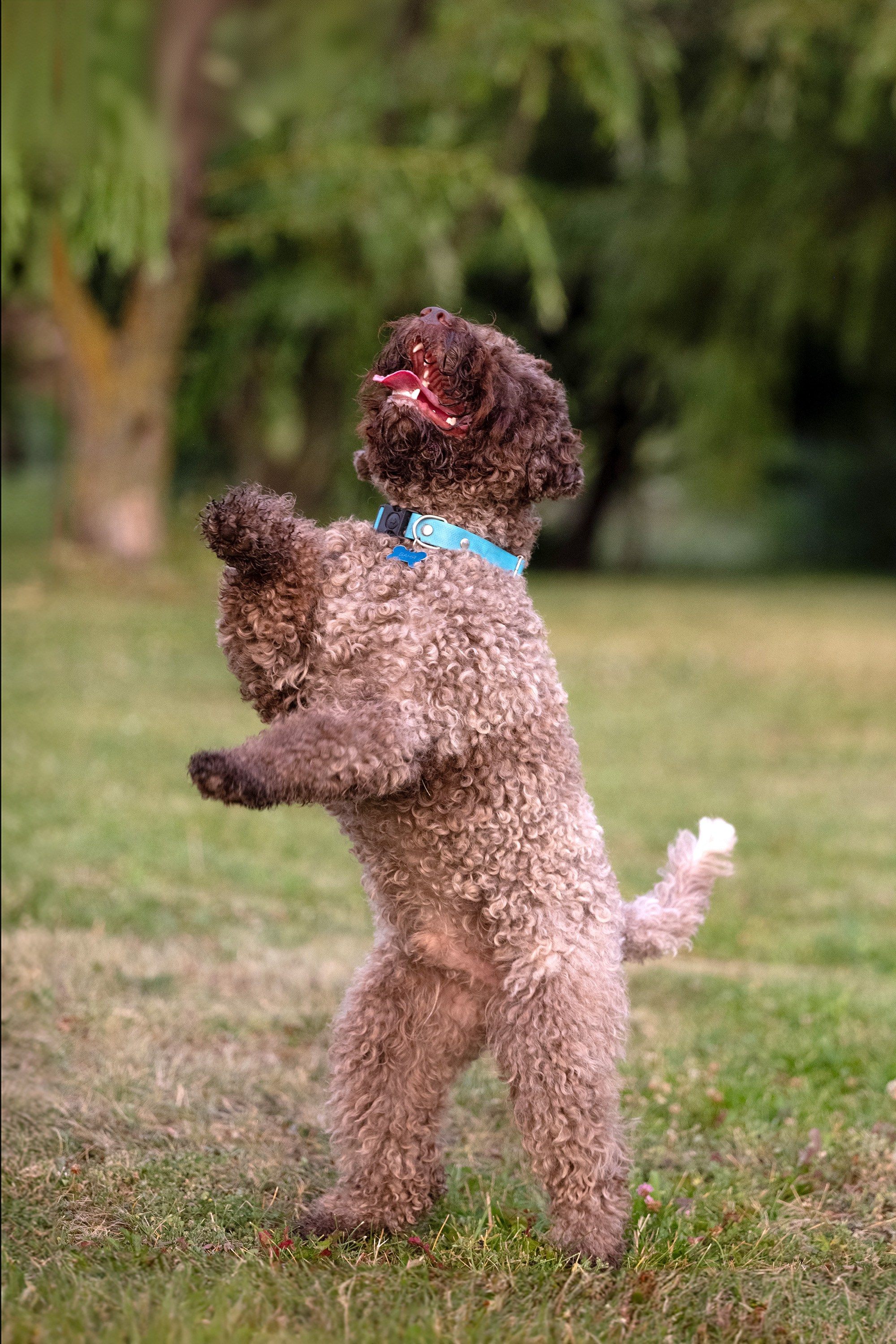 Утро с Лаготто романьоло 14 июля 2024. -