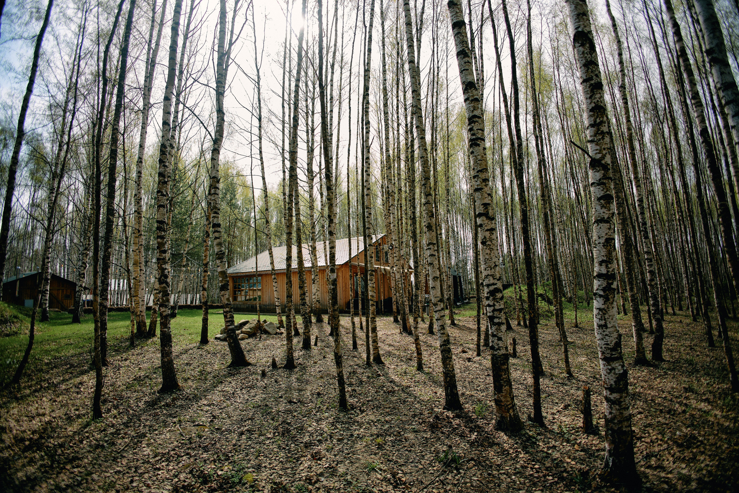 Бутик-отель Поле летом. Профессиональный Фотограф во Владимире, в Москве и в Суздале — Полина Романычева