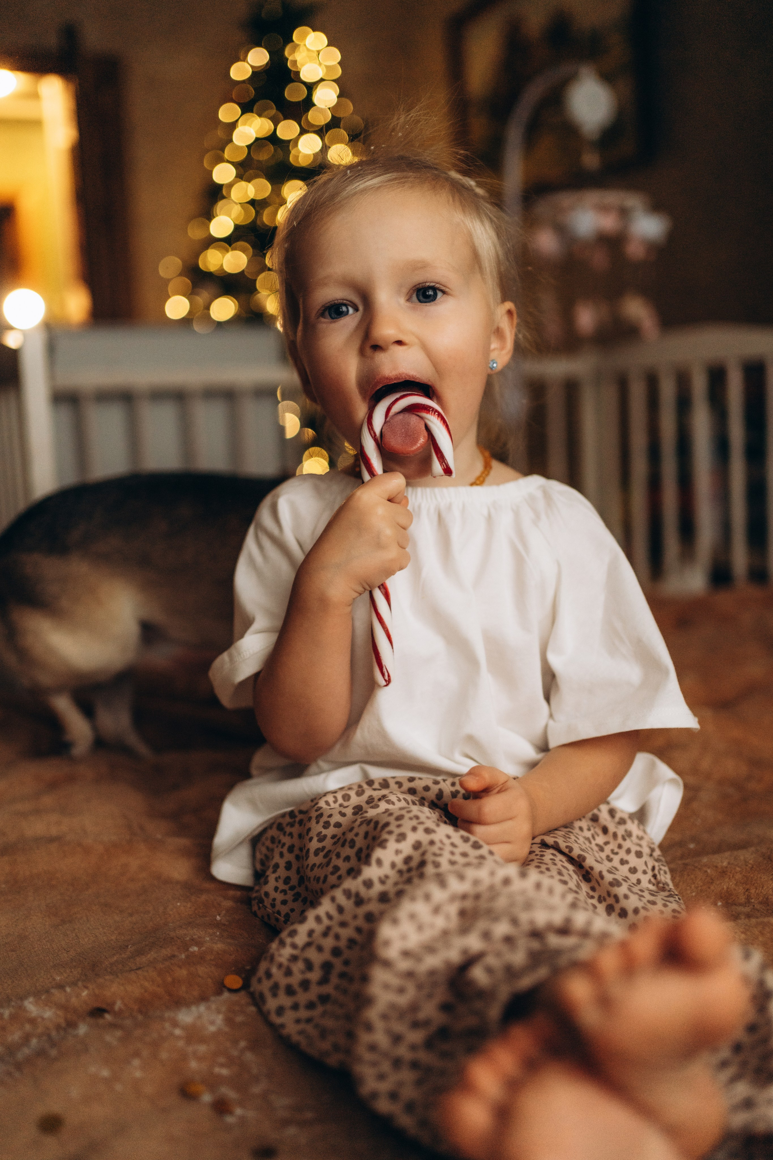 Настя, Леша, Алиска и Сеня. Фотограф в Минске — Мария Миллс