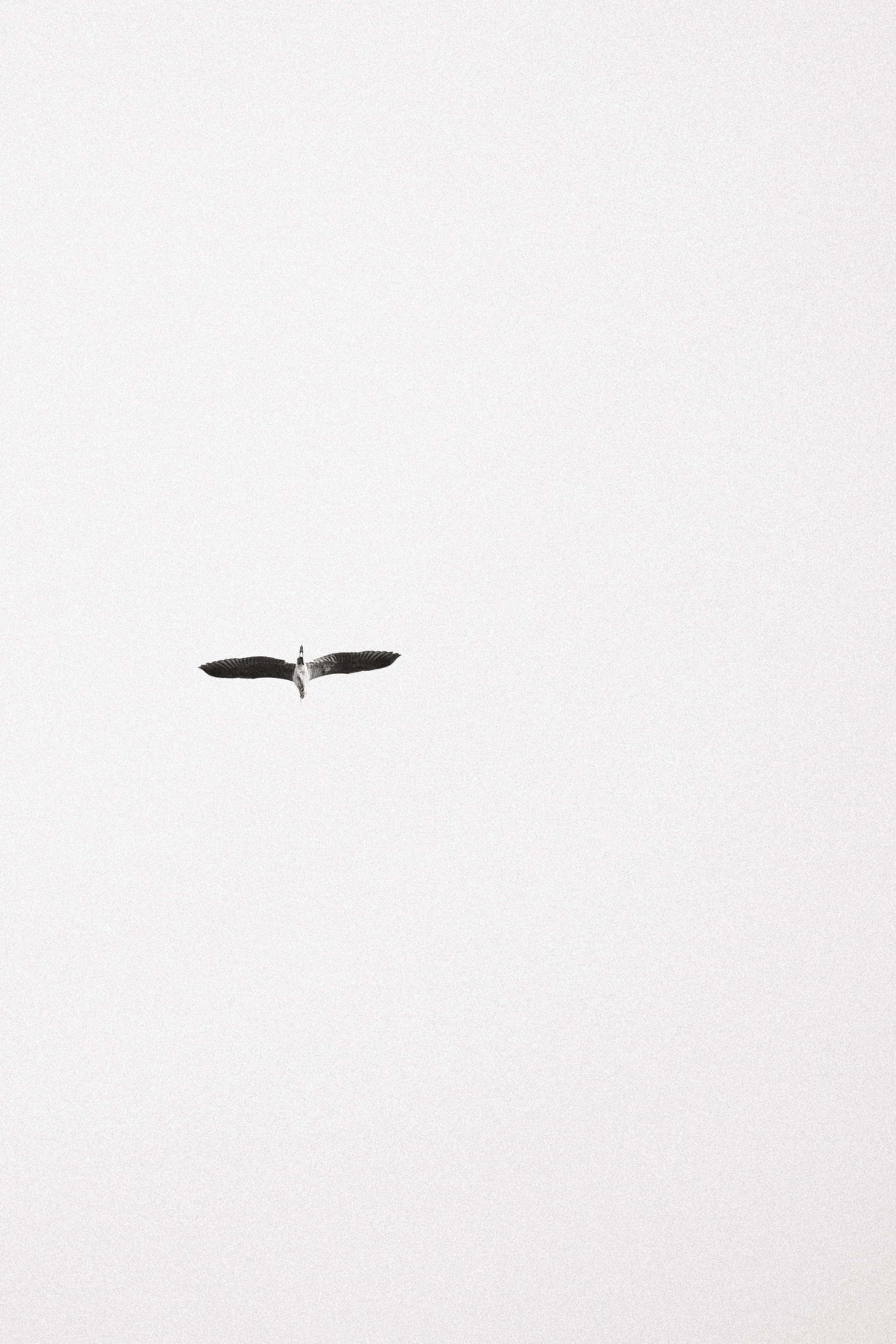 V & A. Свадебный и event-фотограф Иван Волнухин