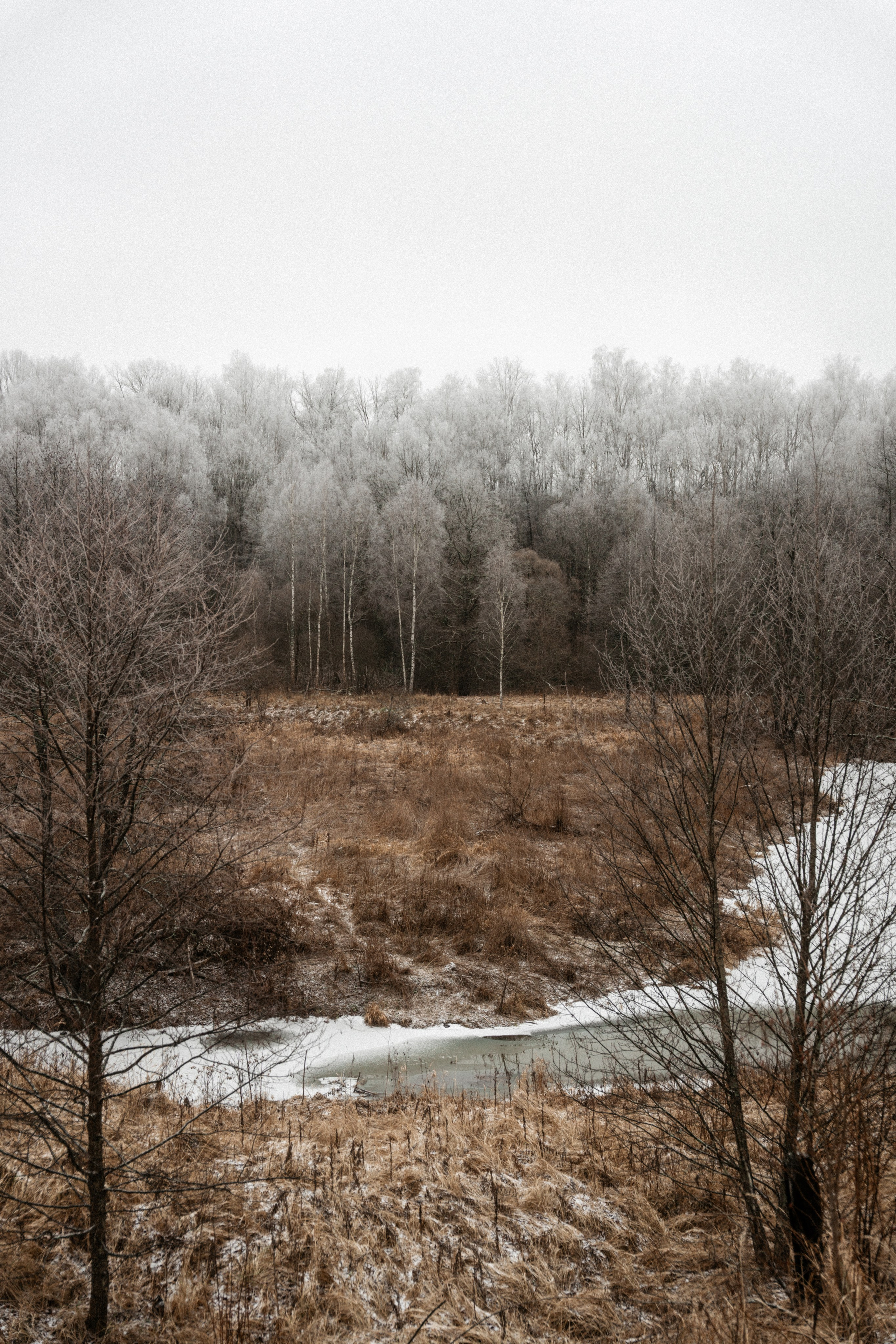 Прогулка по оврагу близ реки. Vlad Trykov