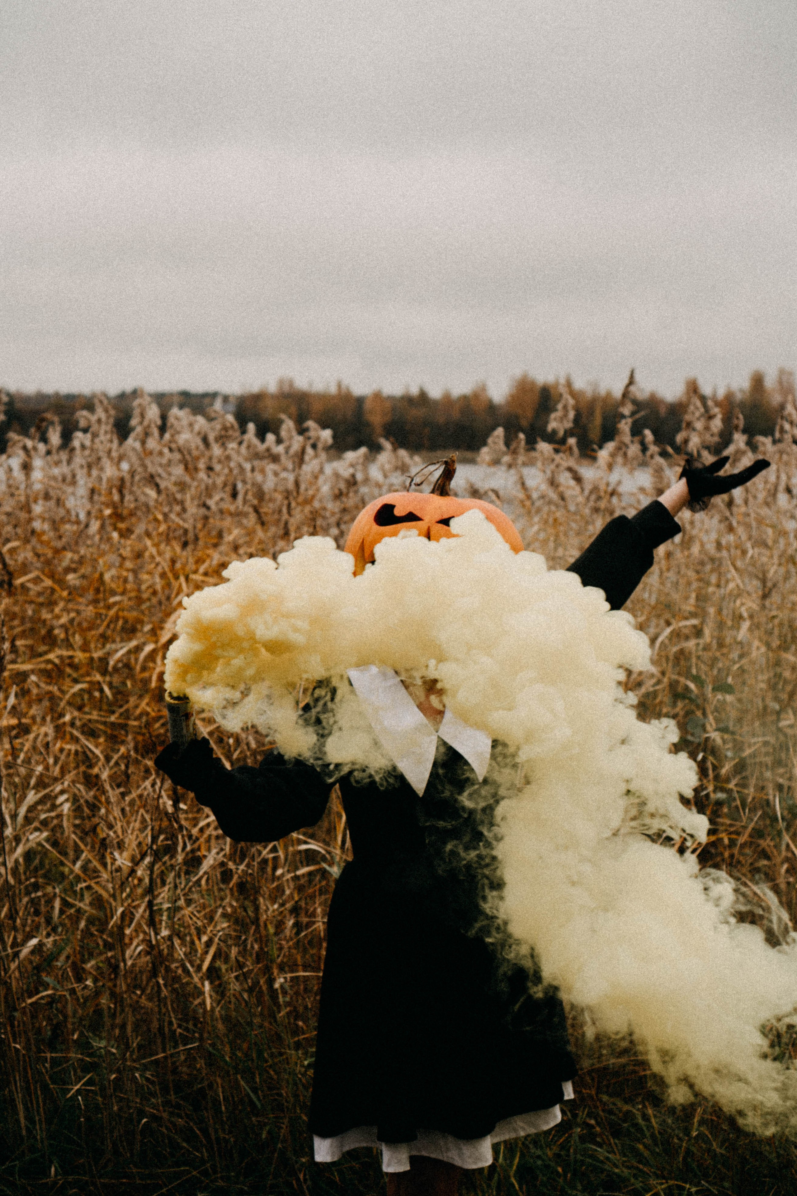 Осеняя. Профессиональный фотограф, Санкт-Петербург — Виктория Богомолова