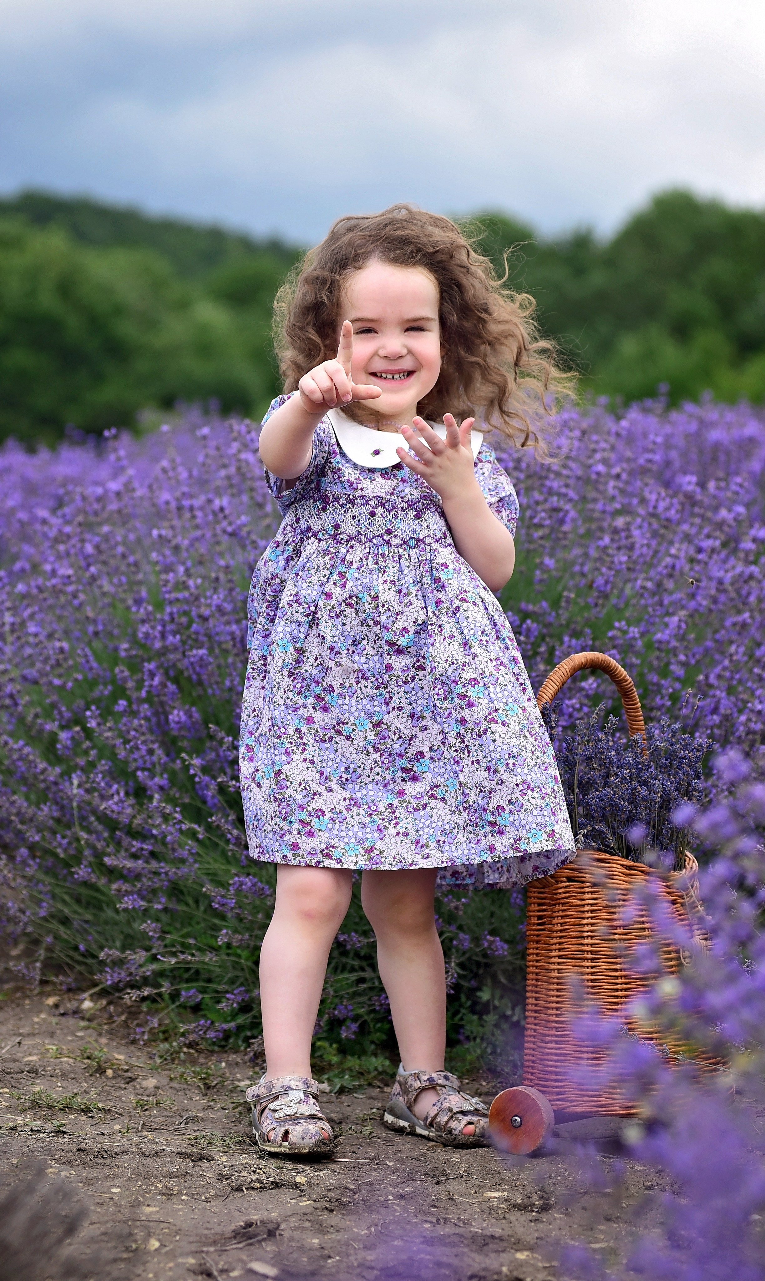 Лаванда. Главная