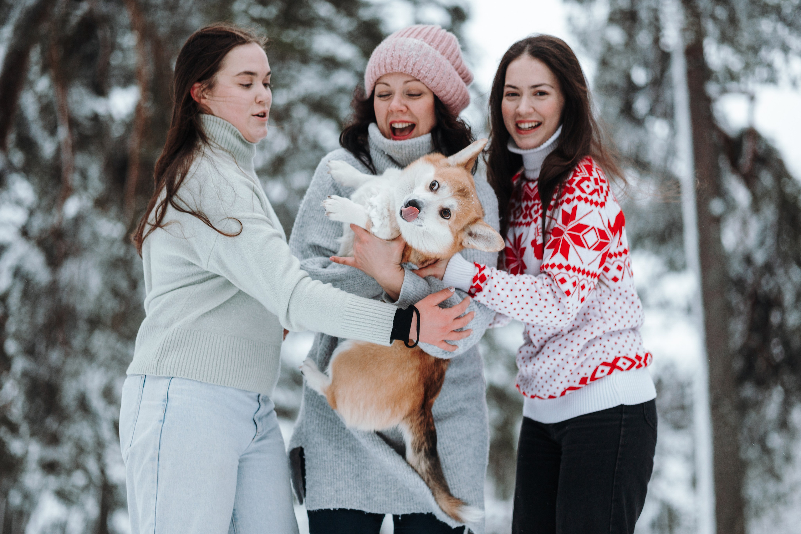 Оливка и ее семья. Фотограф — Анималист | Санкт-Петербург