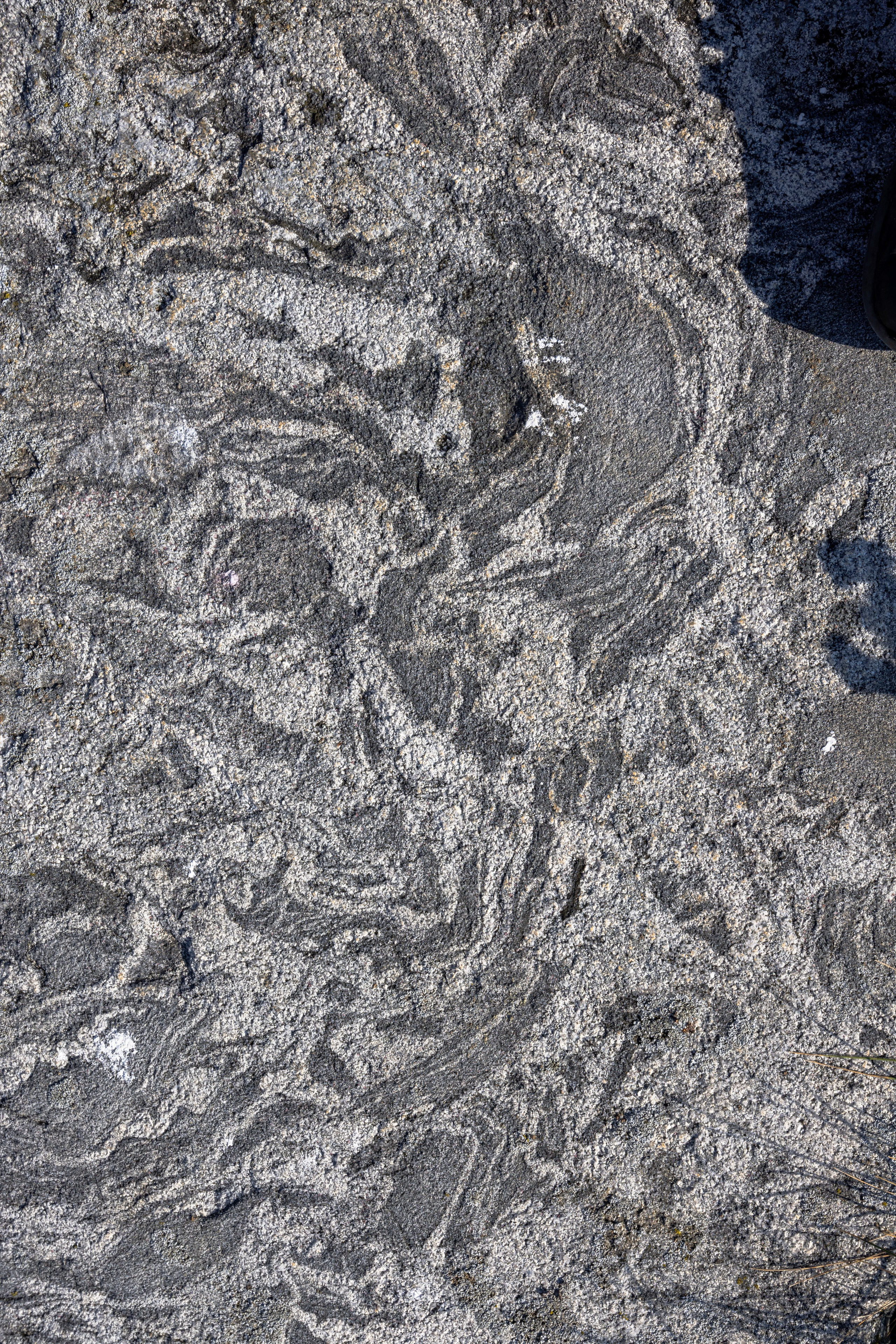 Ладога. Автомобильная фотография в Санкт-Петербурге