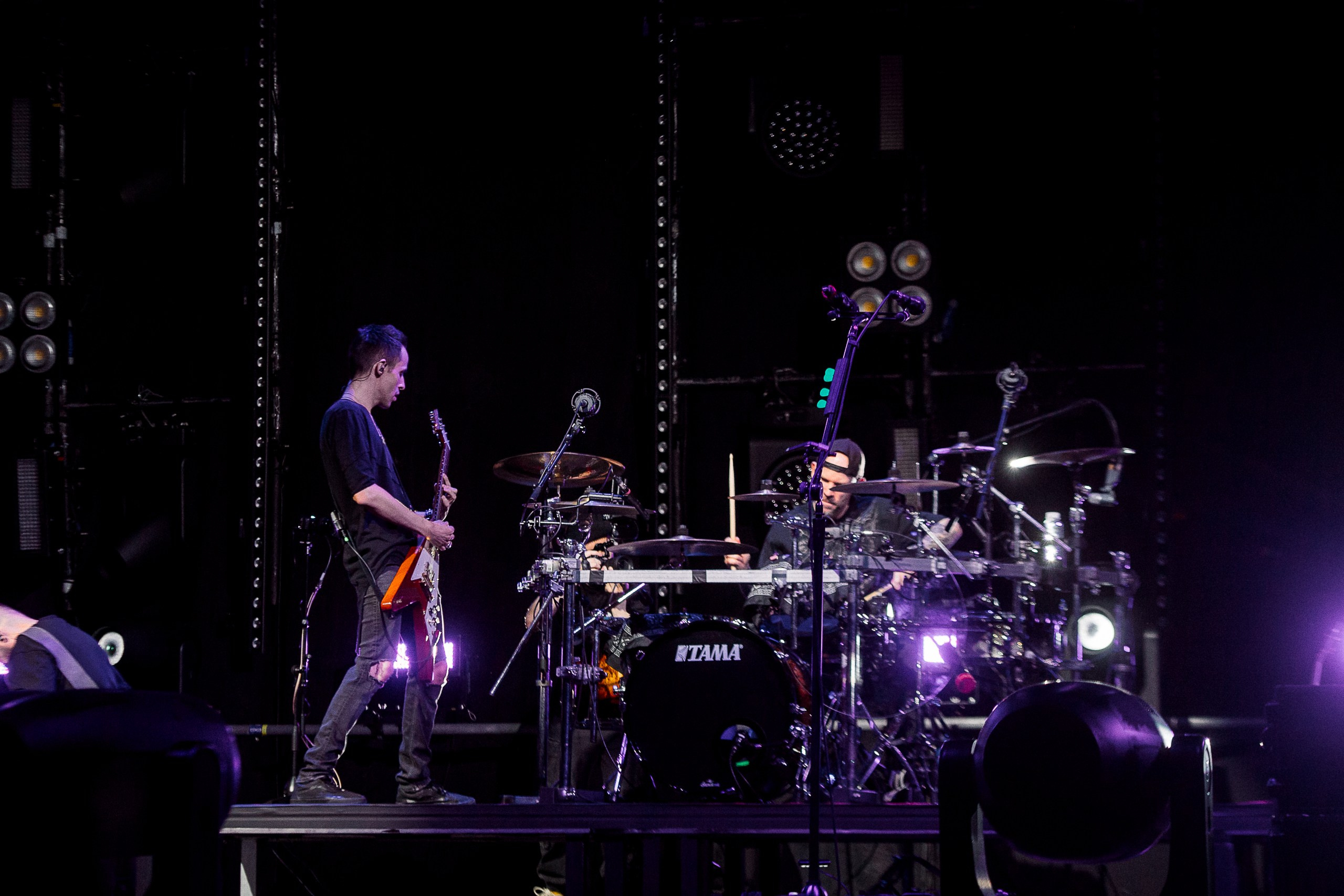 Звери 2025. Репортажный фотограф в Кемерово