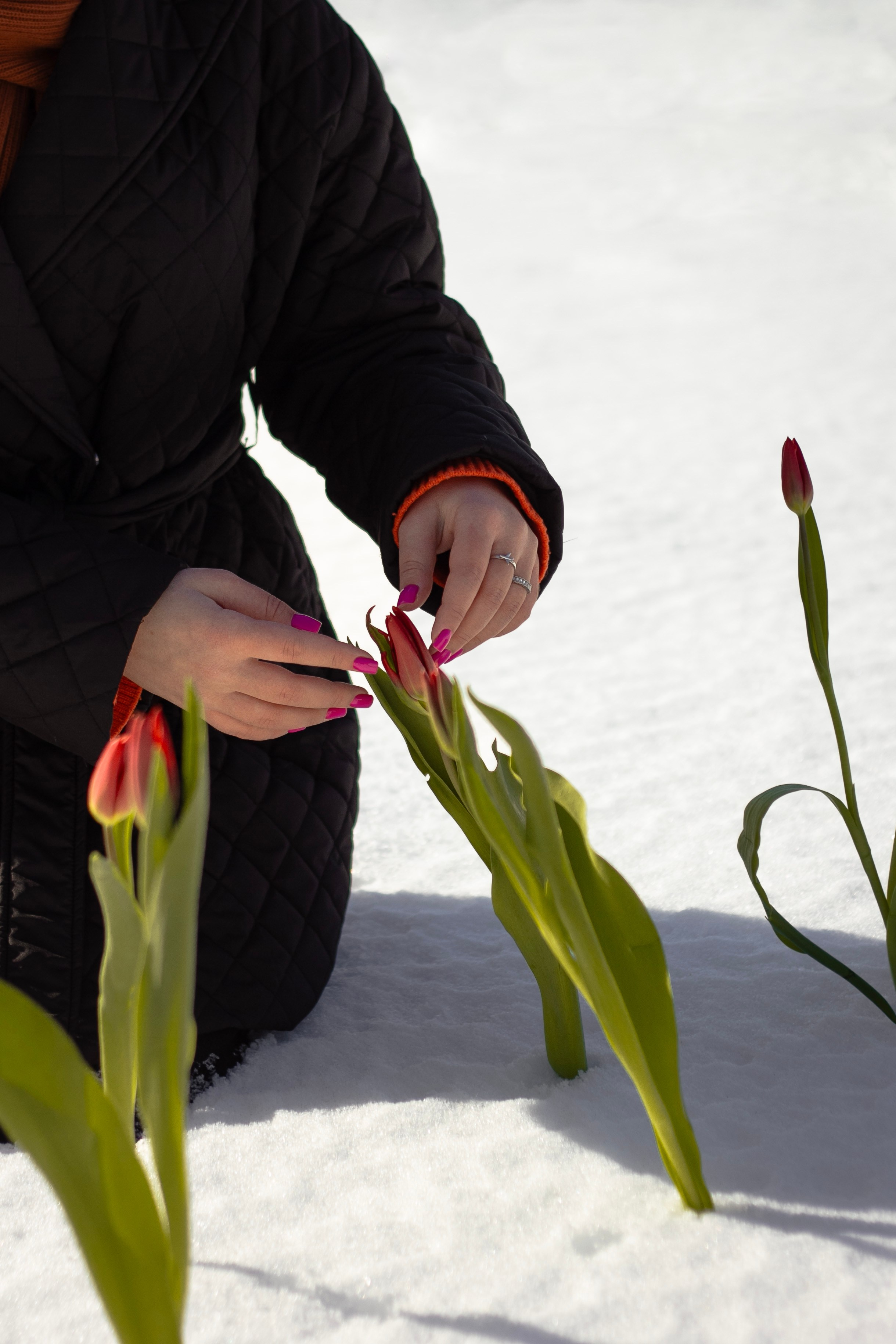 Red. Фотограф Ася Верницкая