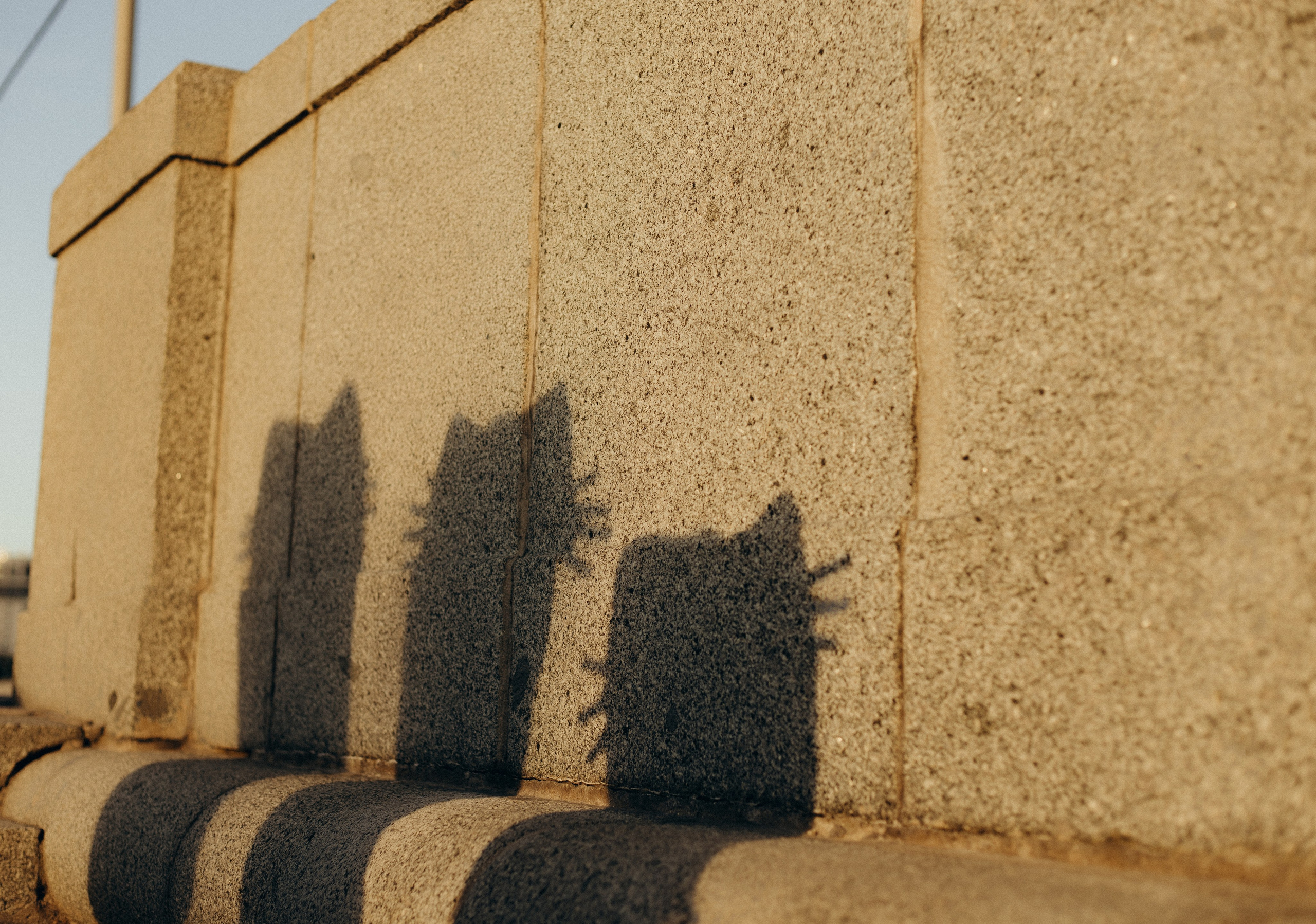 На улице. Meryfotoidea