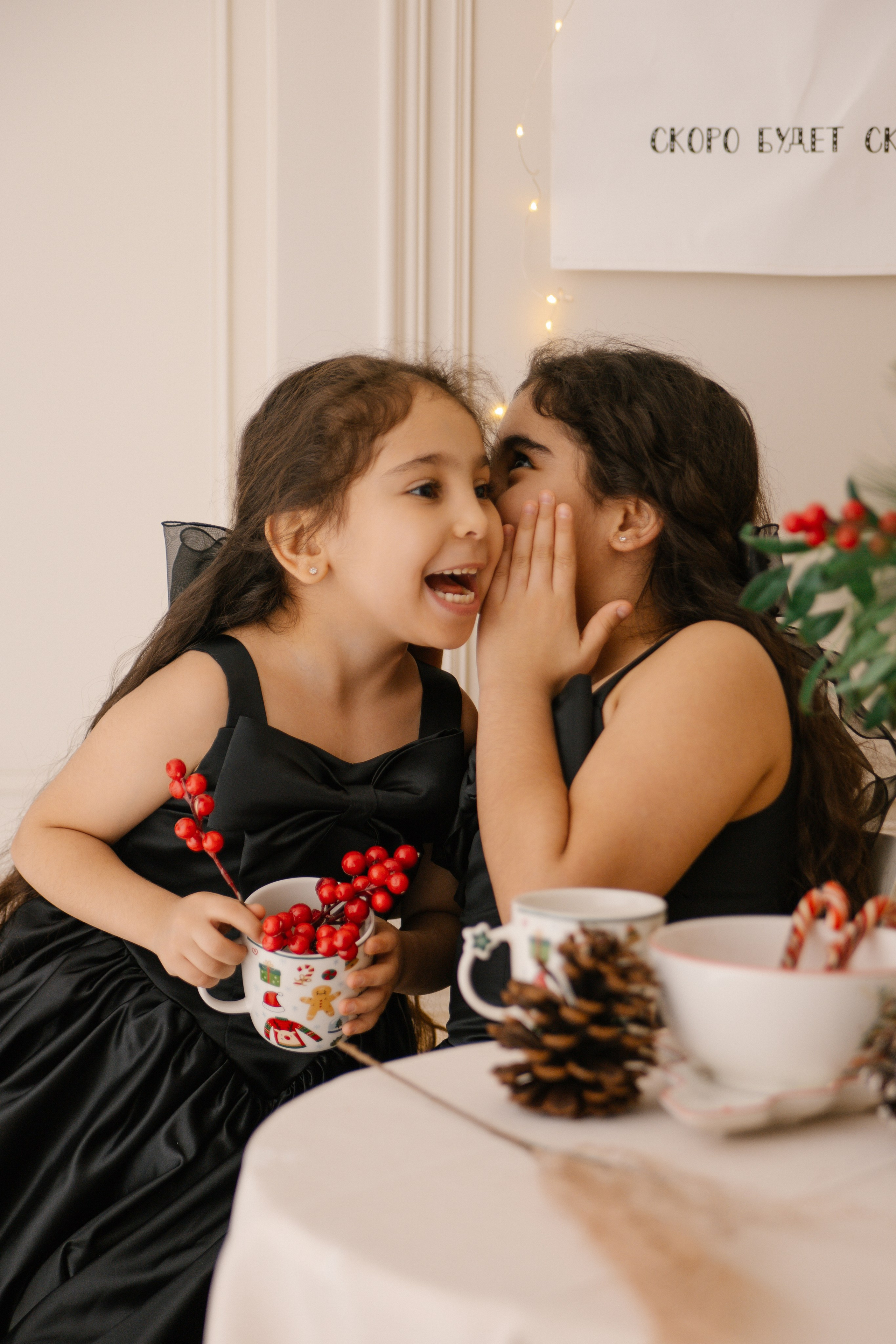 Новый год. Фотограф в городе Лыткарино Волкова Ольга