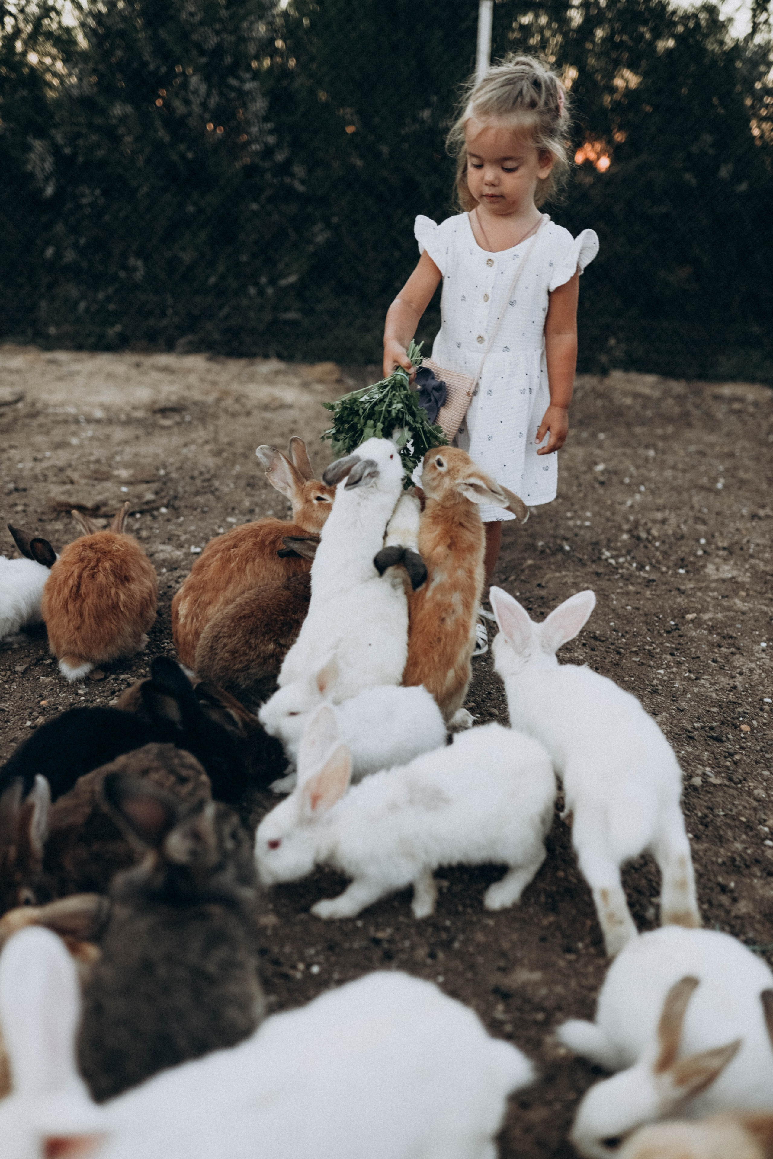 Кроликпарк 🐇. Индивидуальные и семейные съемки в Евпатории, Крыму Немировченко Анна