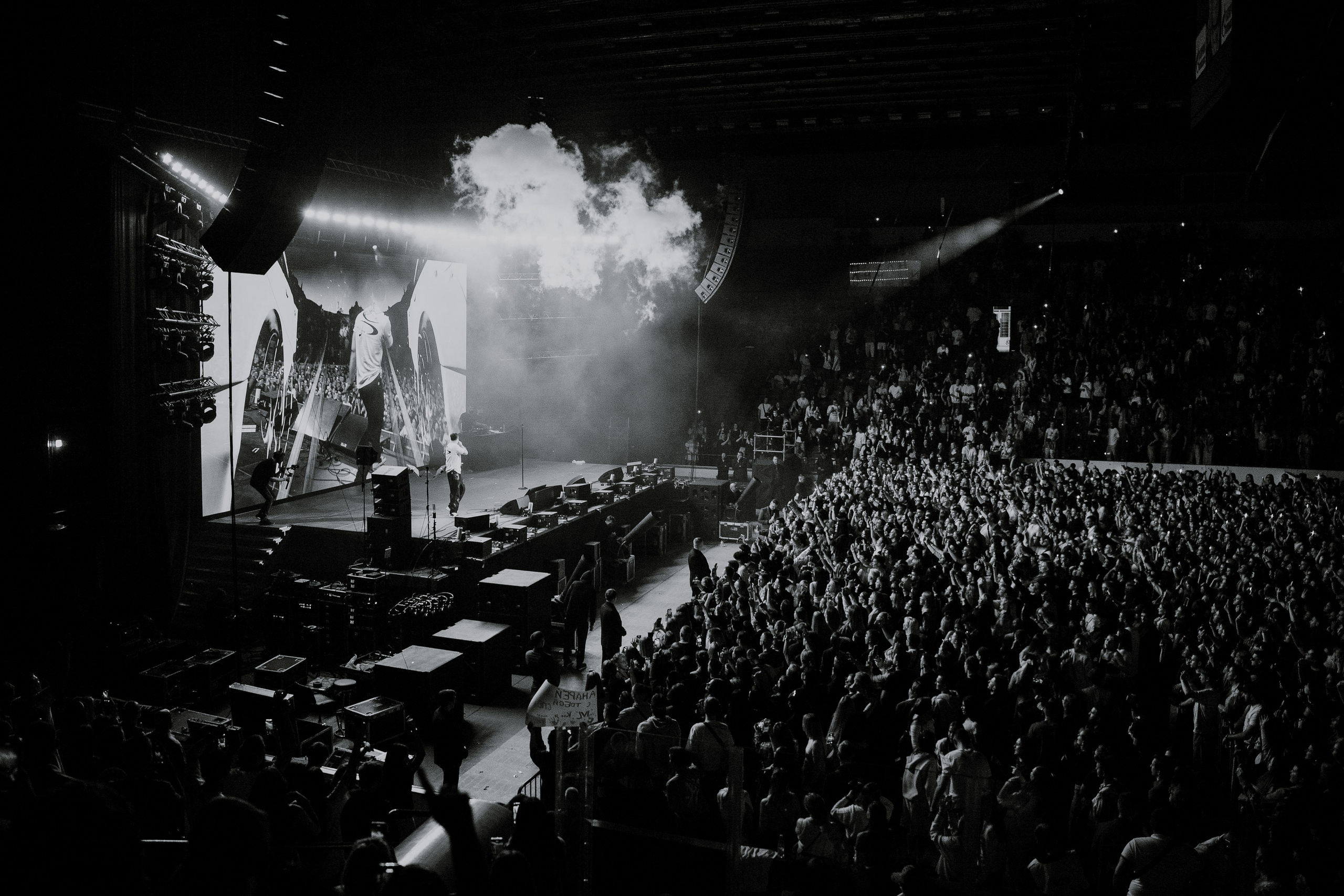 MACAN. Фотограф Москва