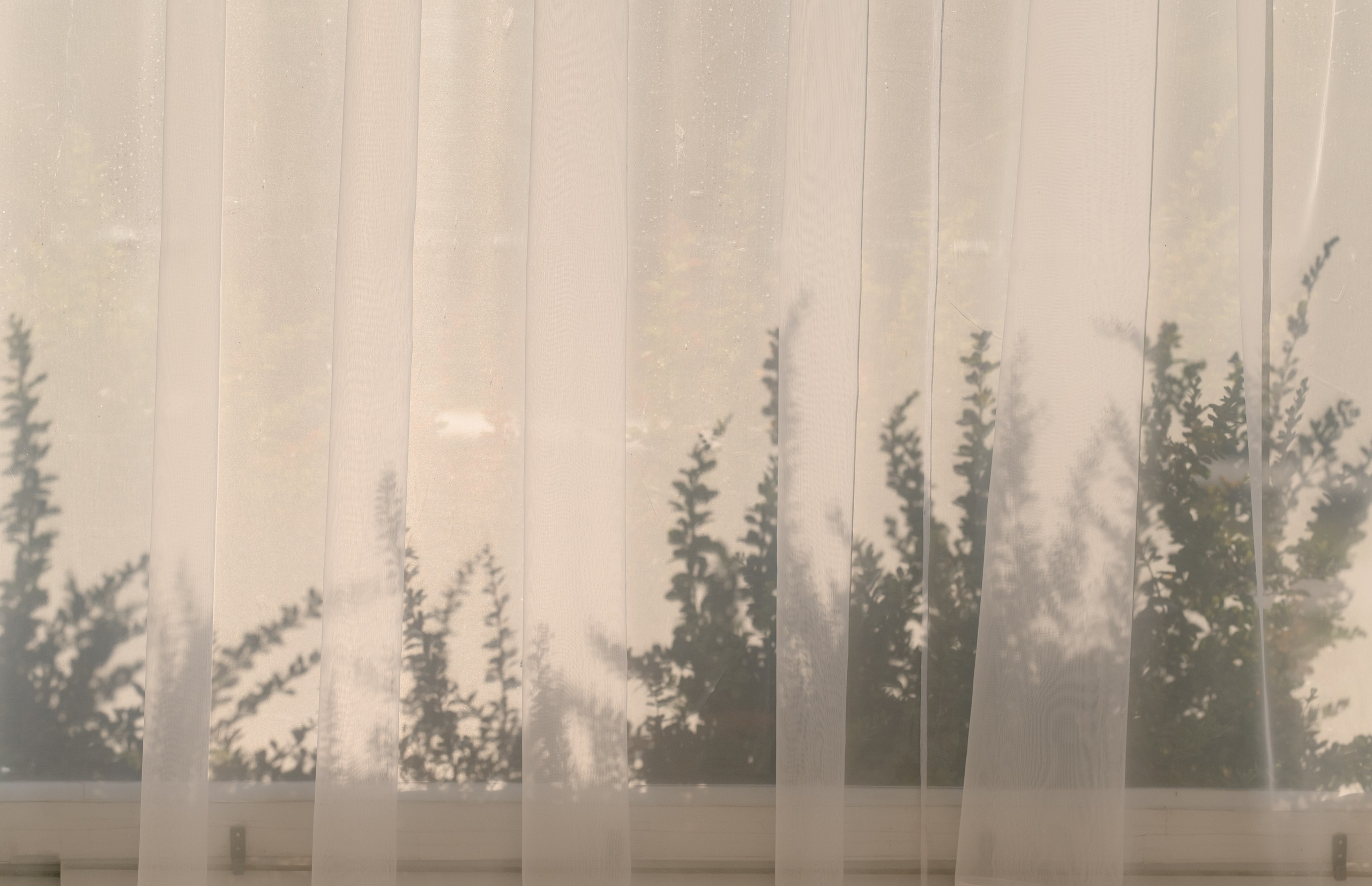 Александр и Арина. Фотограф Анна Абрикосова