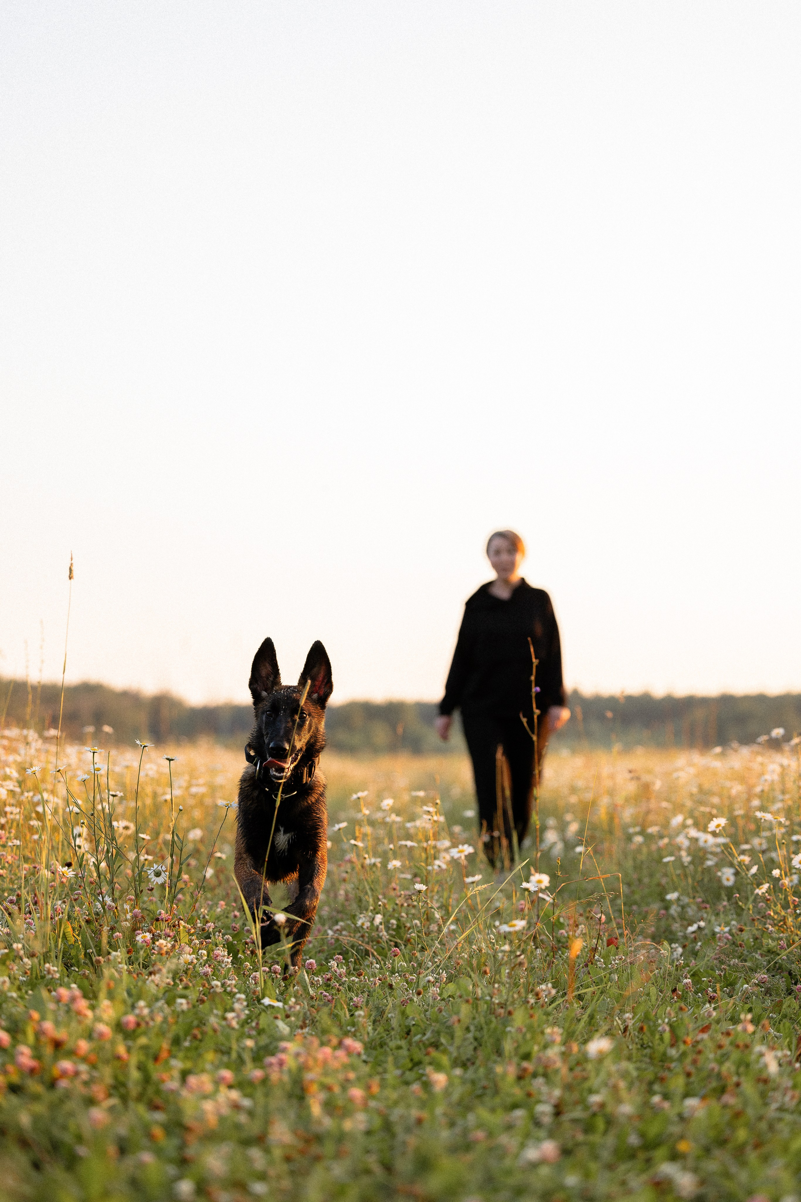 Галина и Лоя. Фотограф и видеограф анималист Аганина Дарья
