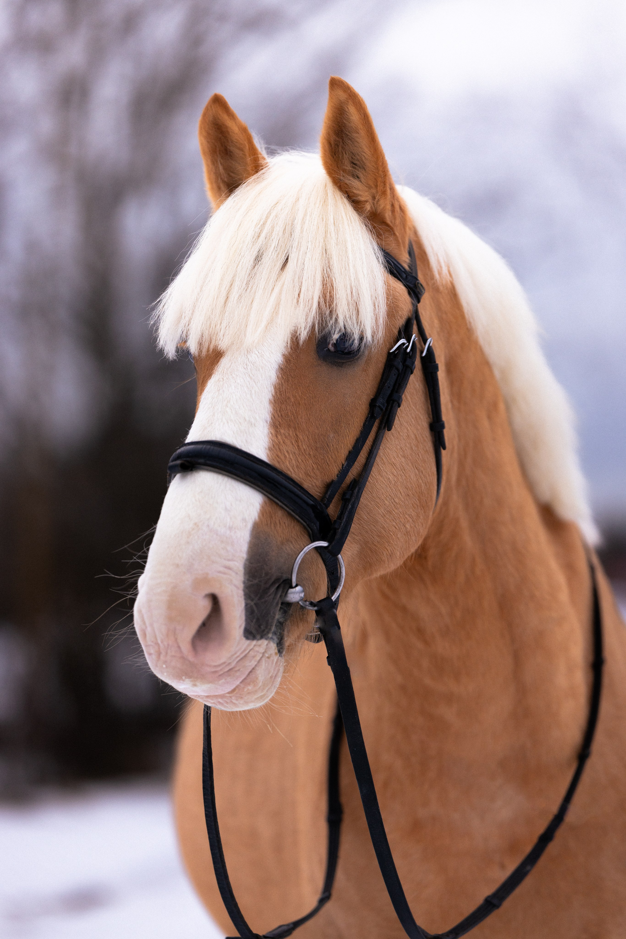 Бейкер. Фотограф и видеограф анималист Аганина Дарья