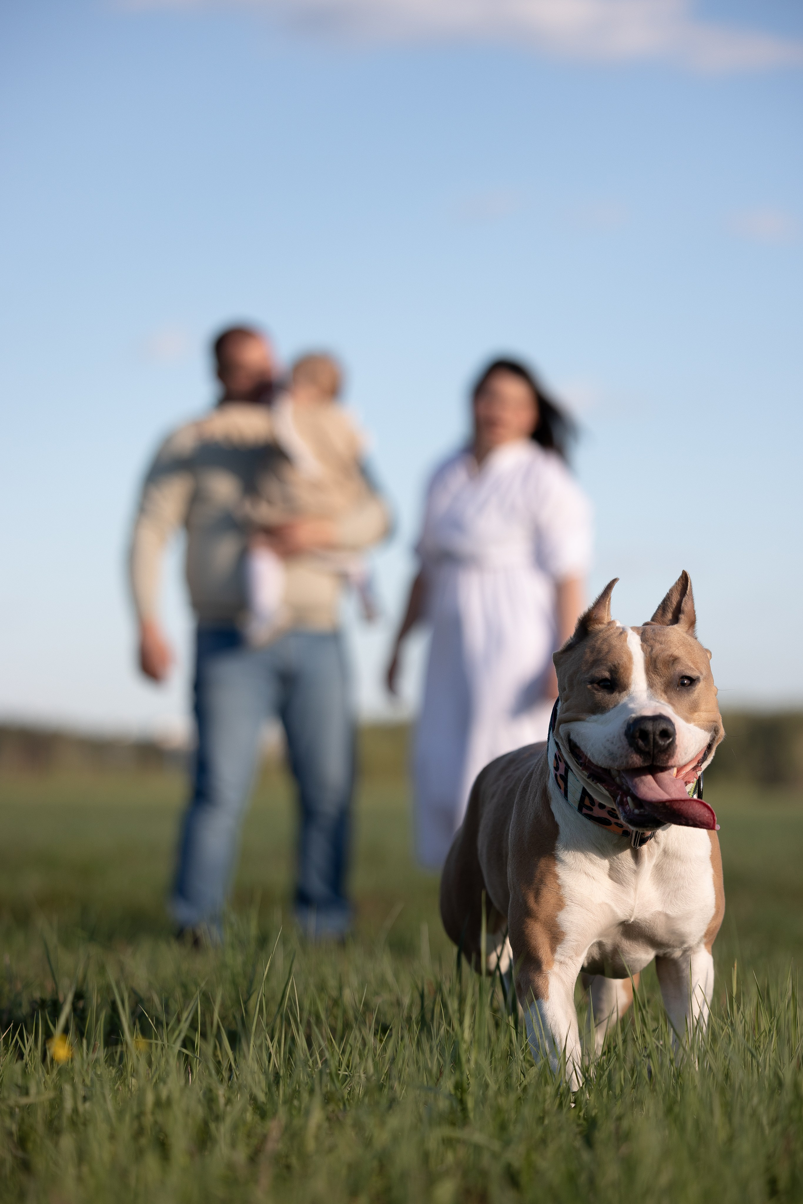 Шуня и ее семья. Фотограф и видеограф анималист Аганина Дарья