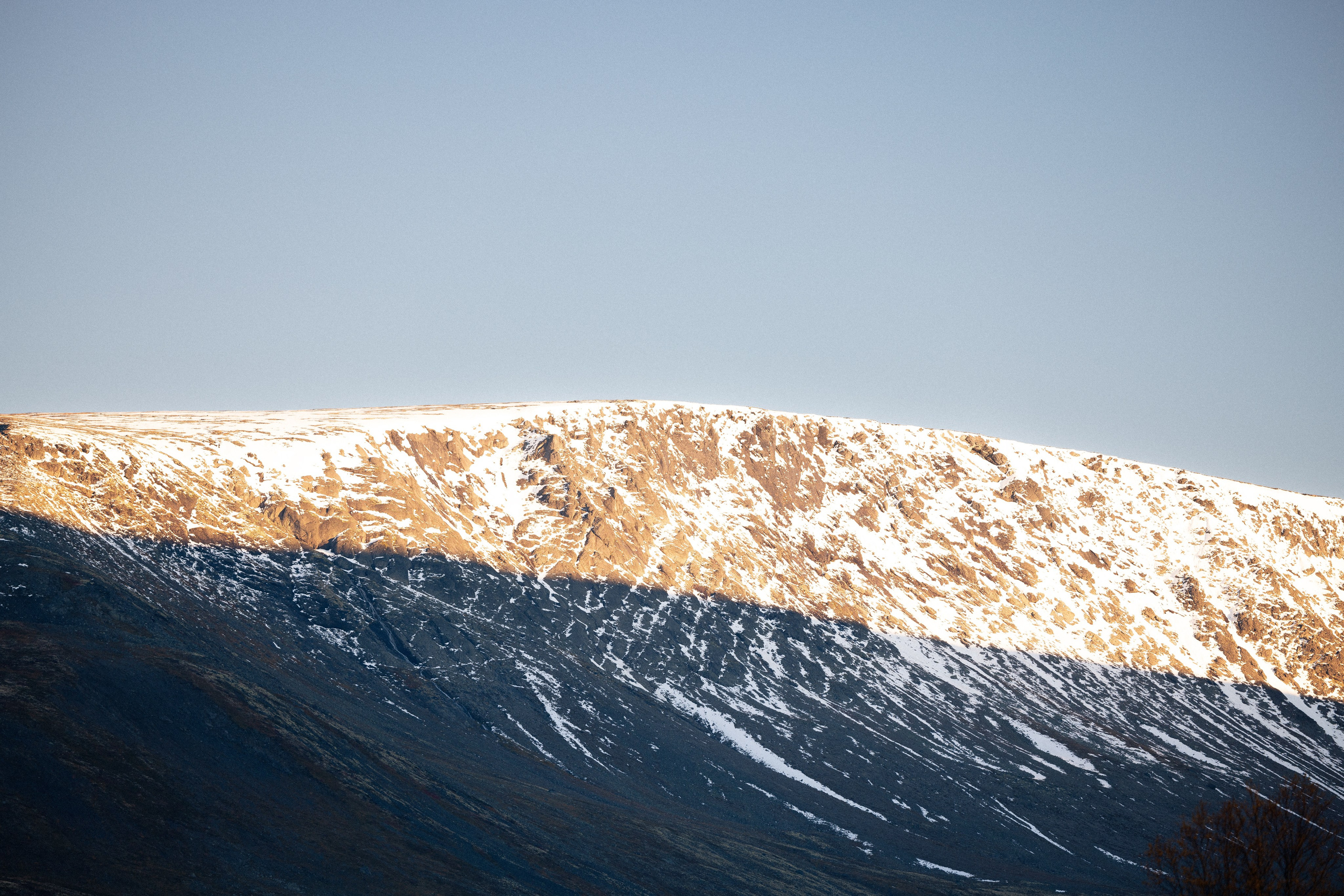 Кольский. Фотограф и видеограф анималист Аганина Дарья