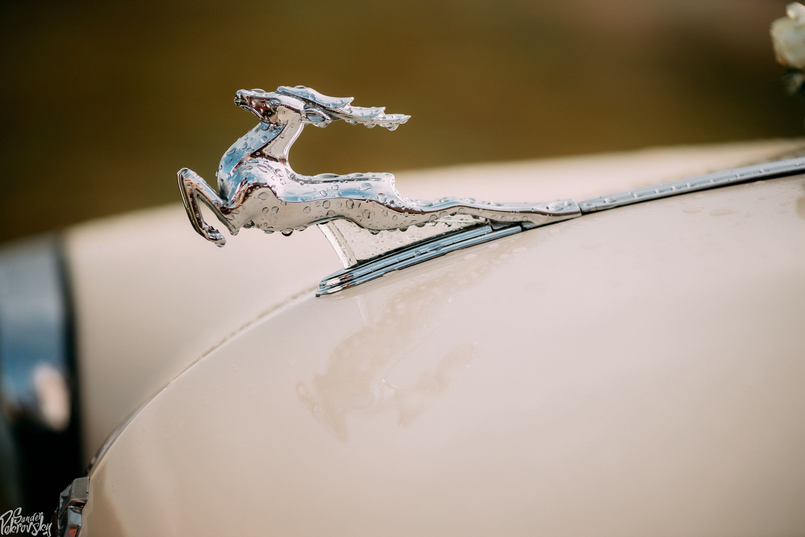 Артём и Яна. Свадебный и репортажный фотограф в Чебоксарах Покровский Александр