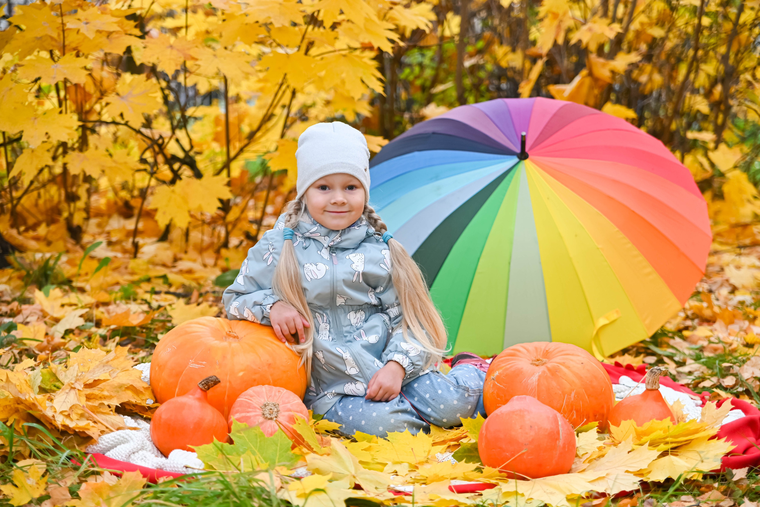 Золотая осень. Выпускные альбомы для детских садов Санкт-Петербург